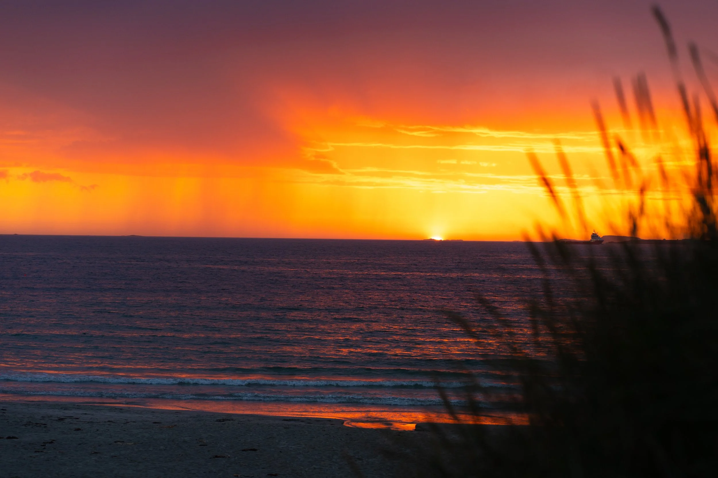 20230723-DSC02017-2 - FULL FRAME.jpg