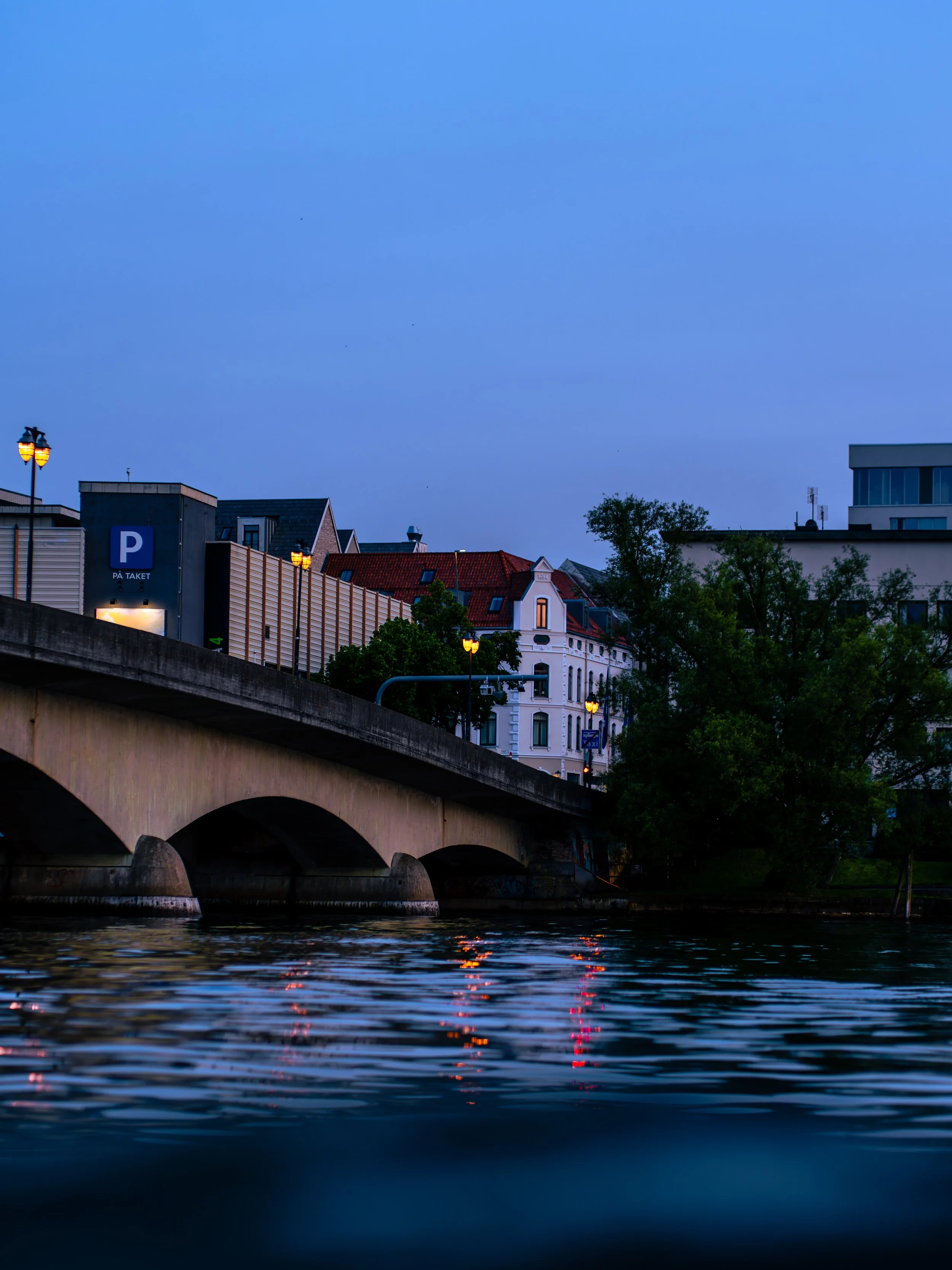 Erlend Haaland-DSC09063-Enhanced-NR.jpg