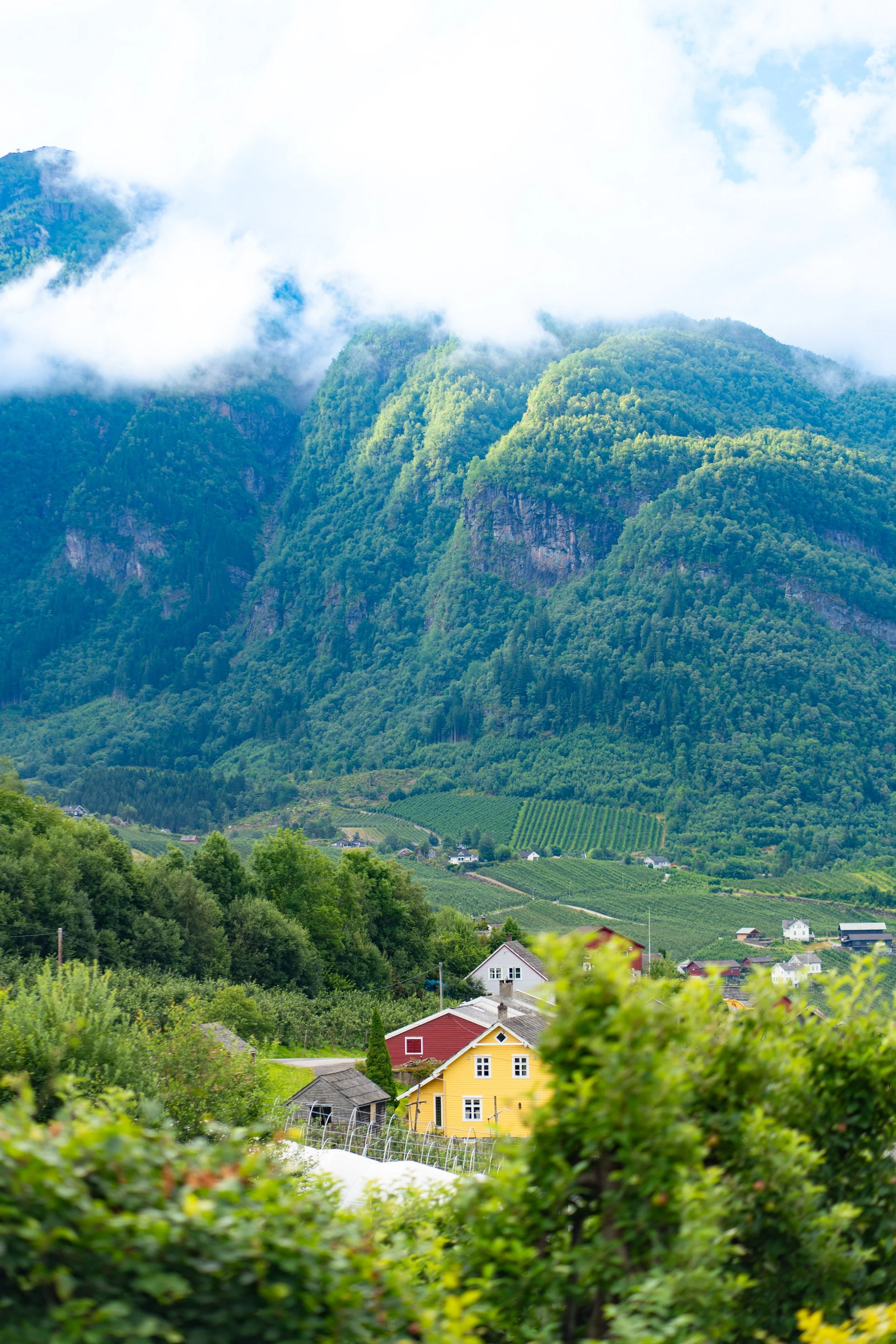 DSC02889-1-2 - FF.jpg