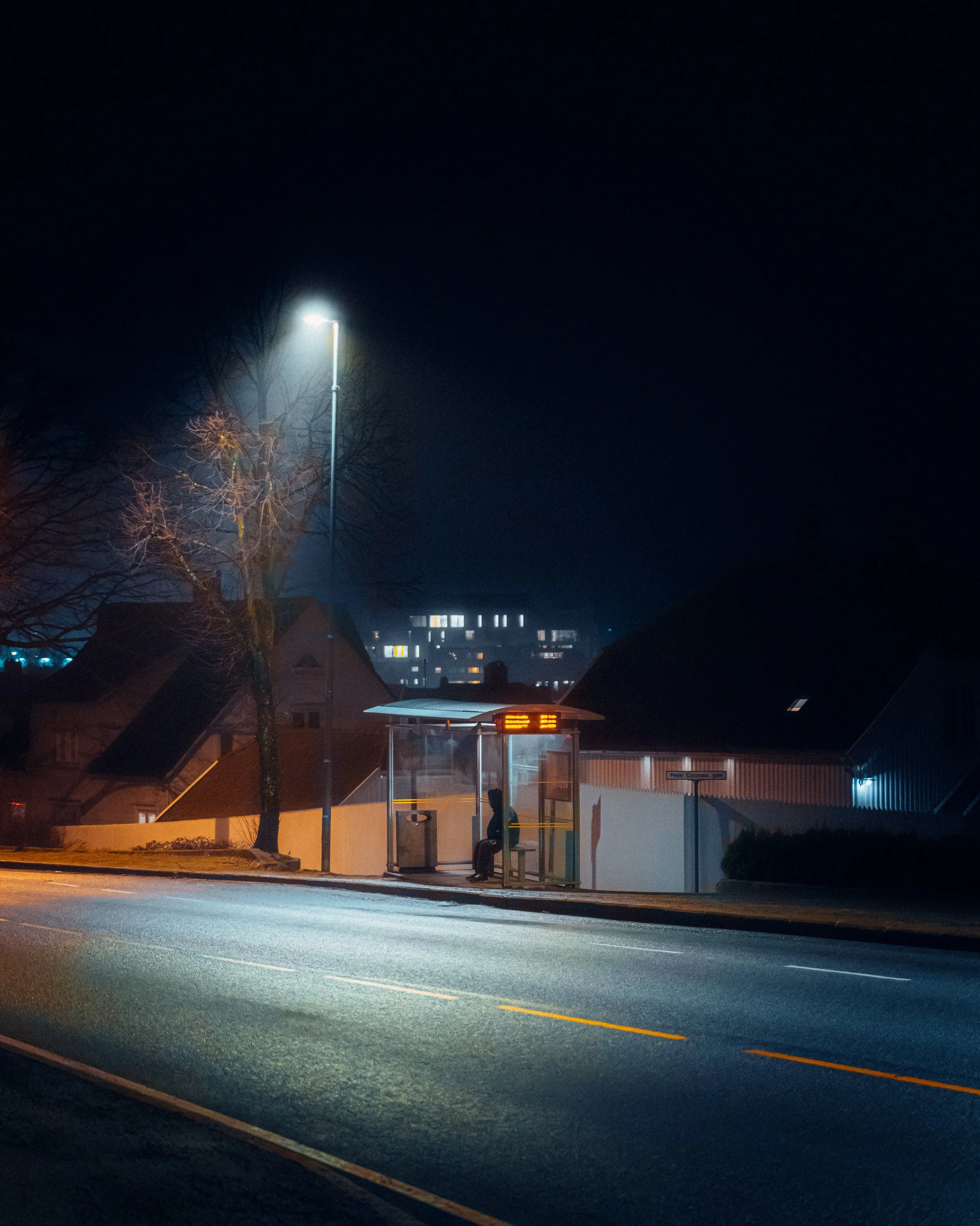 Erlend Haaland-DSC06941-Enhanced-NR.jpg