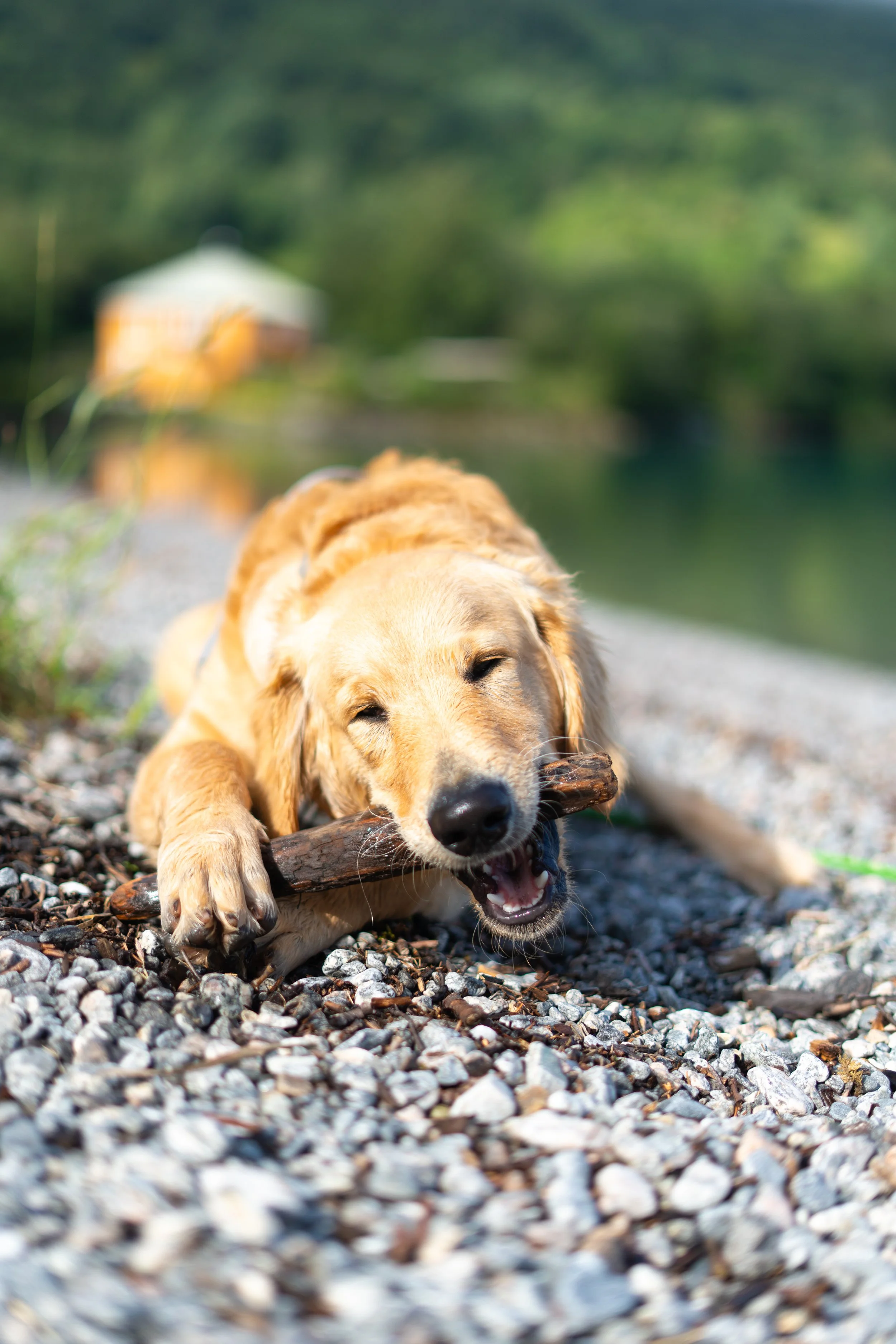 DSC02267-1 - FULL FRAME.jpg