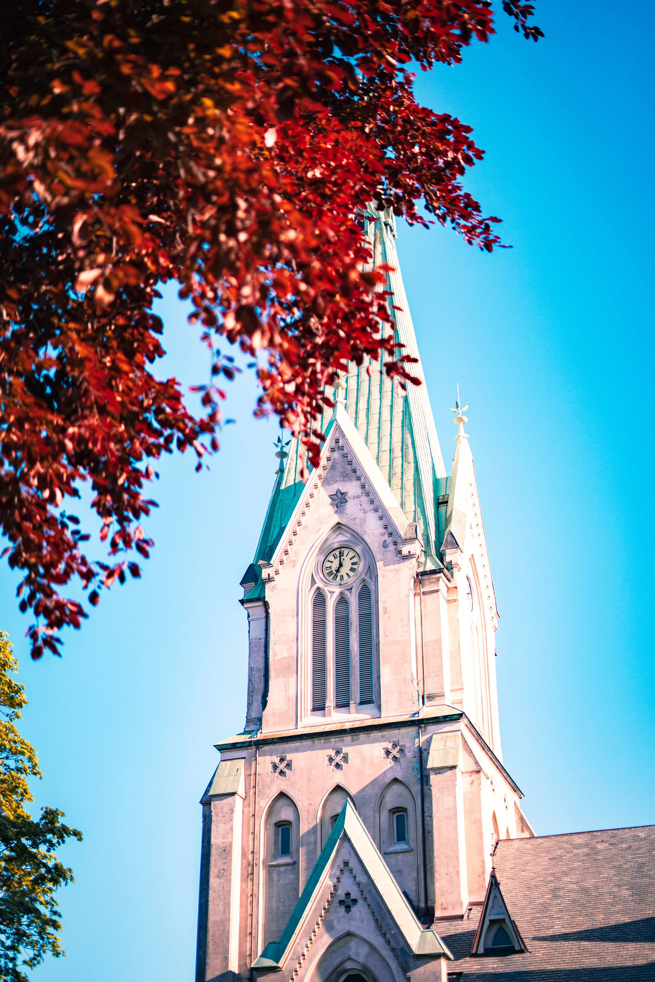 20230520-DSC00318-2 copy.jpg