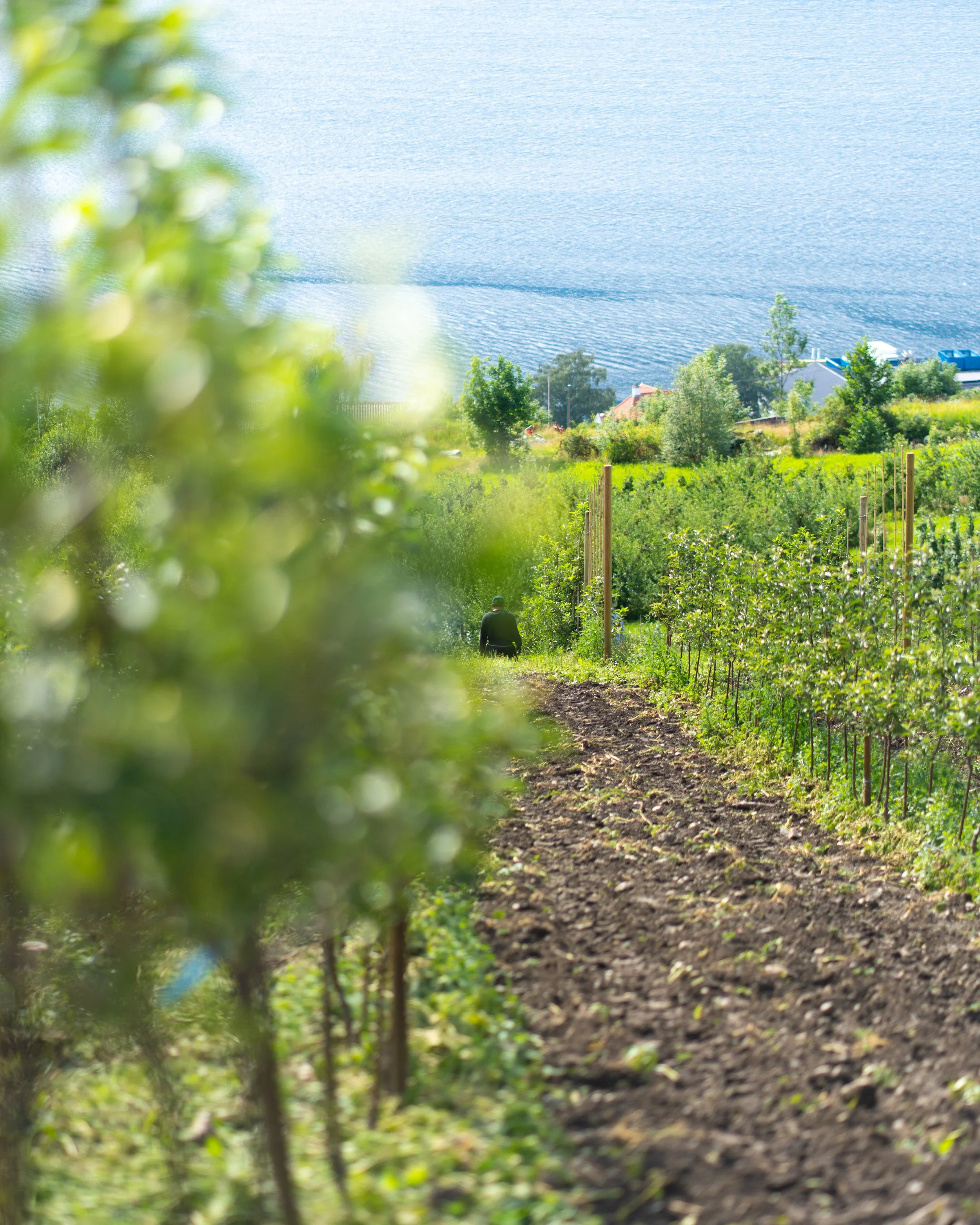 DSC02664-1 - FULL FRAME.jpg