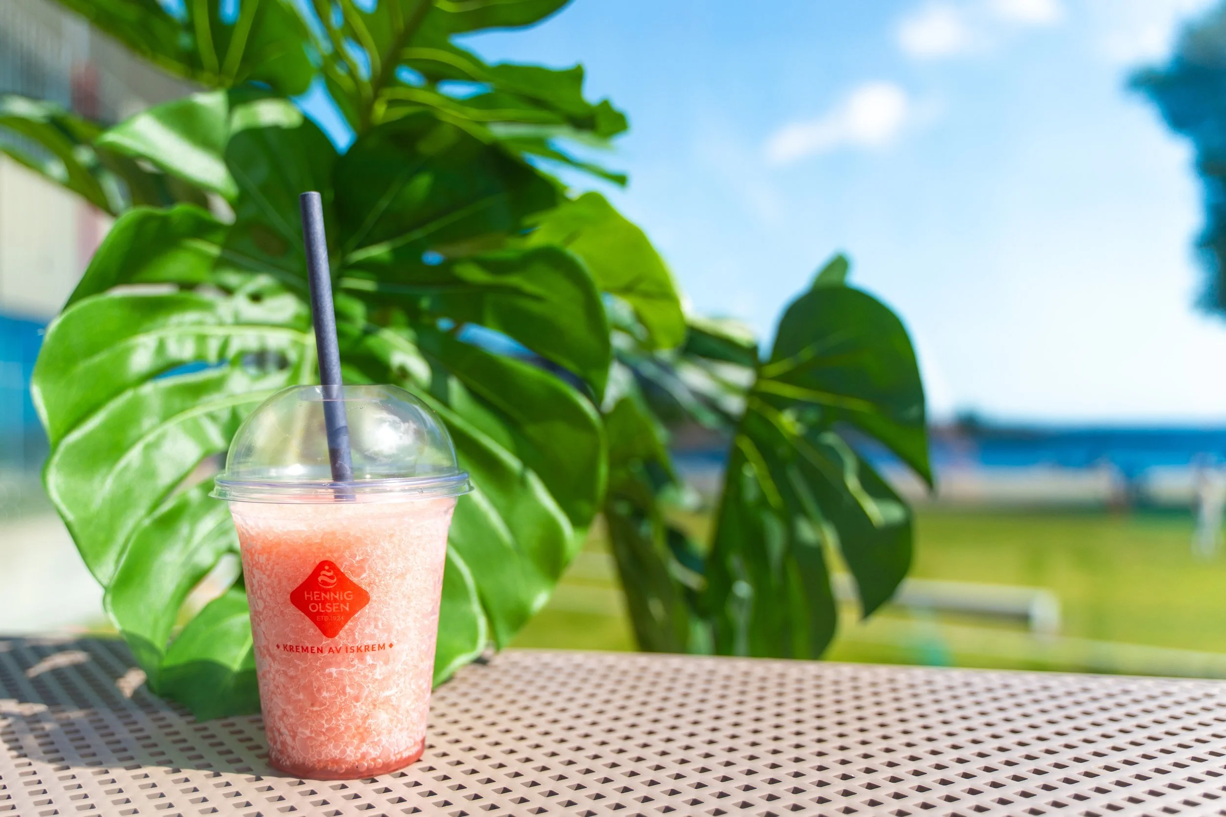 Erlend Haaland-DSC09761-2.jpg