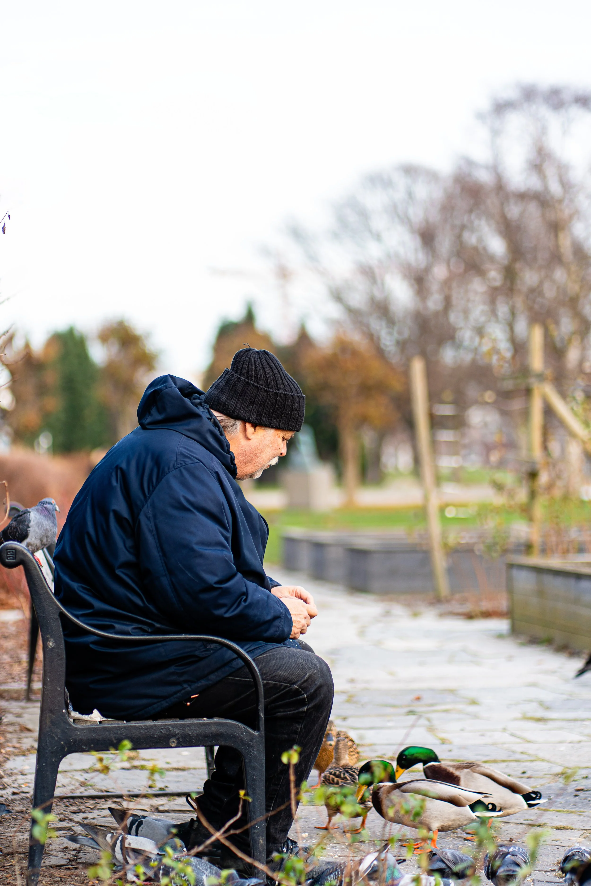 Erlend Haaland-DSC06252.jpg