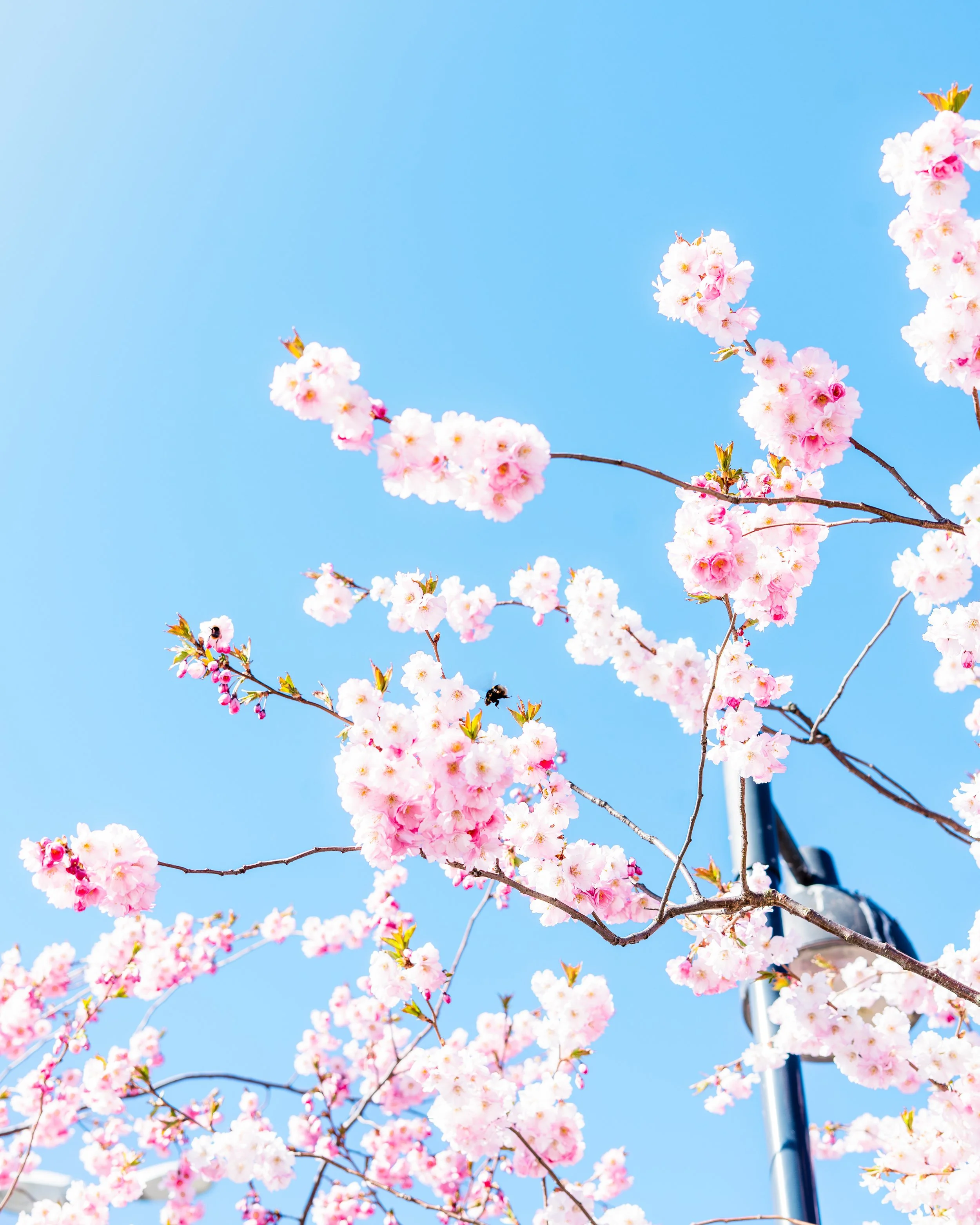 Erlend Haaland-Erlend Haaland-DSC07636-Enhanced-NR-2.jpg