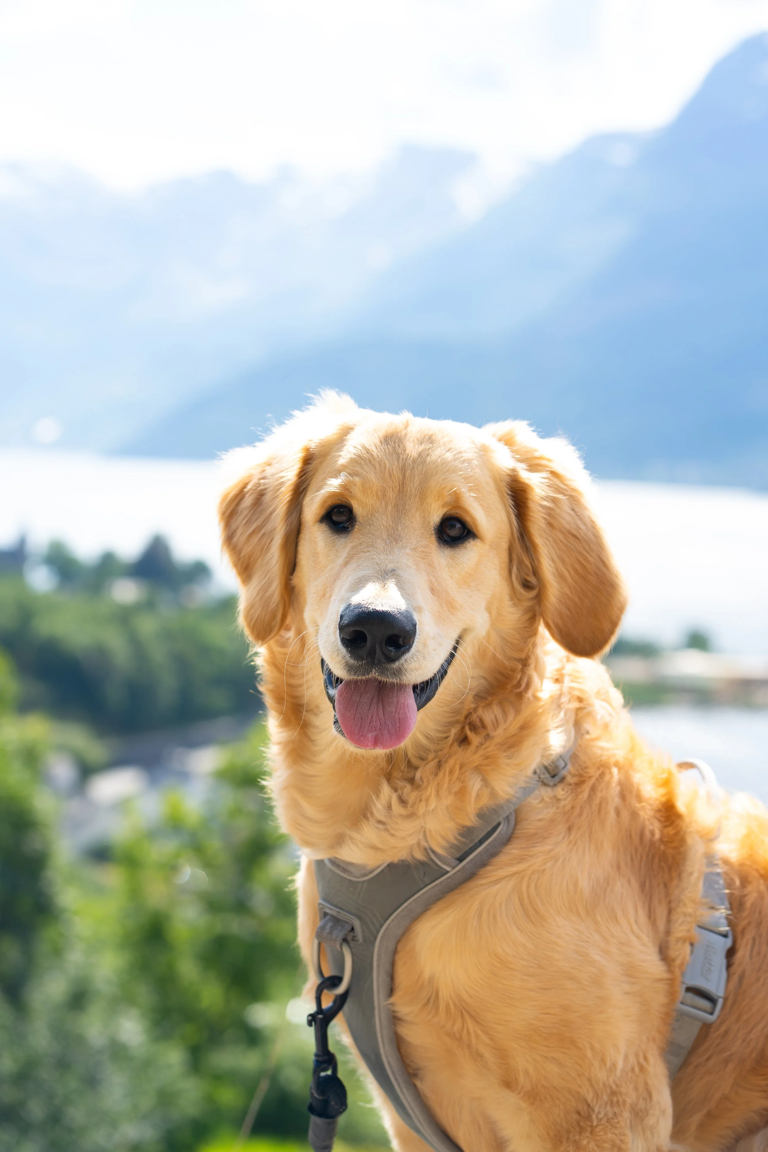 DSC02676-1-  FULL FRAME.jpg