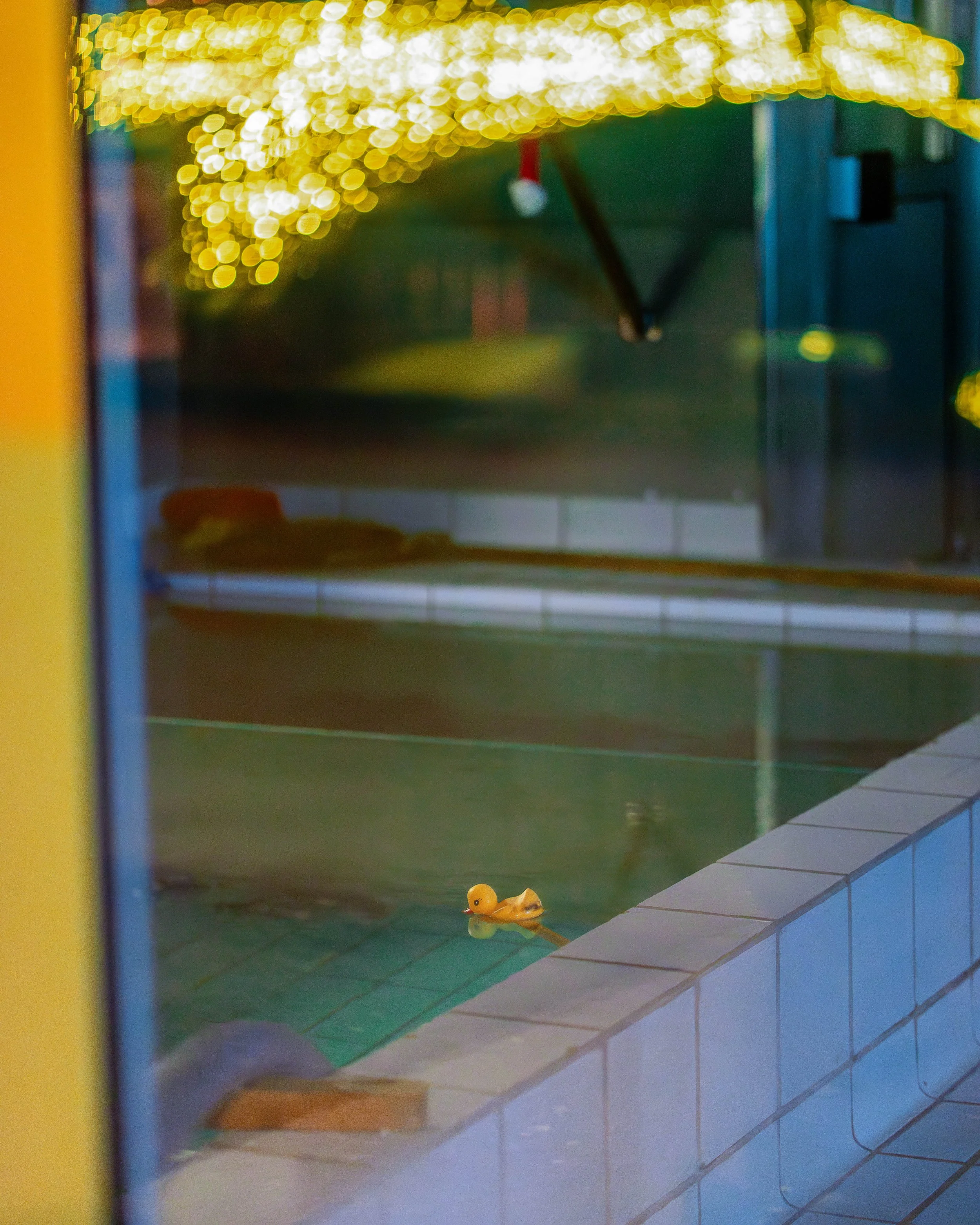 Erlend Haaland-DSC06435-Enhanced-NR-2.jpg