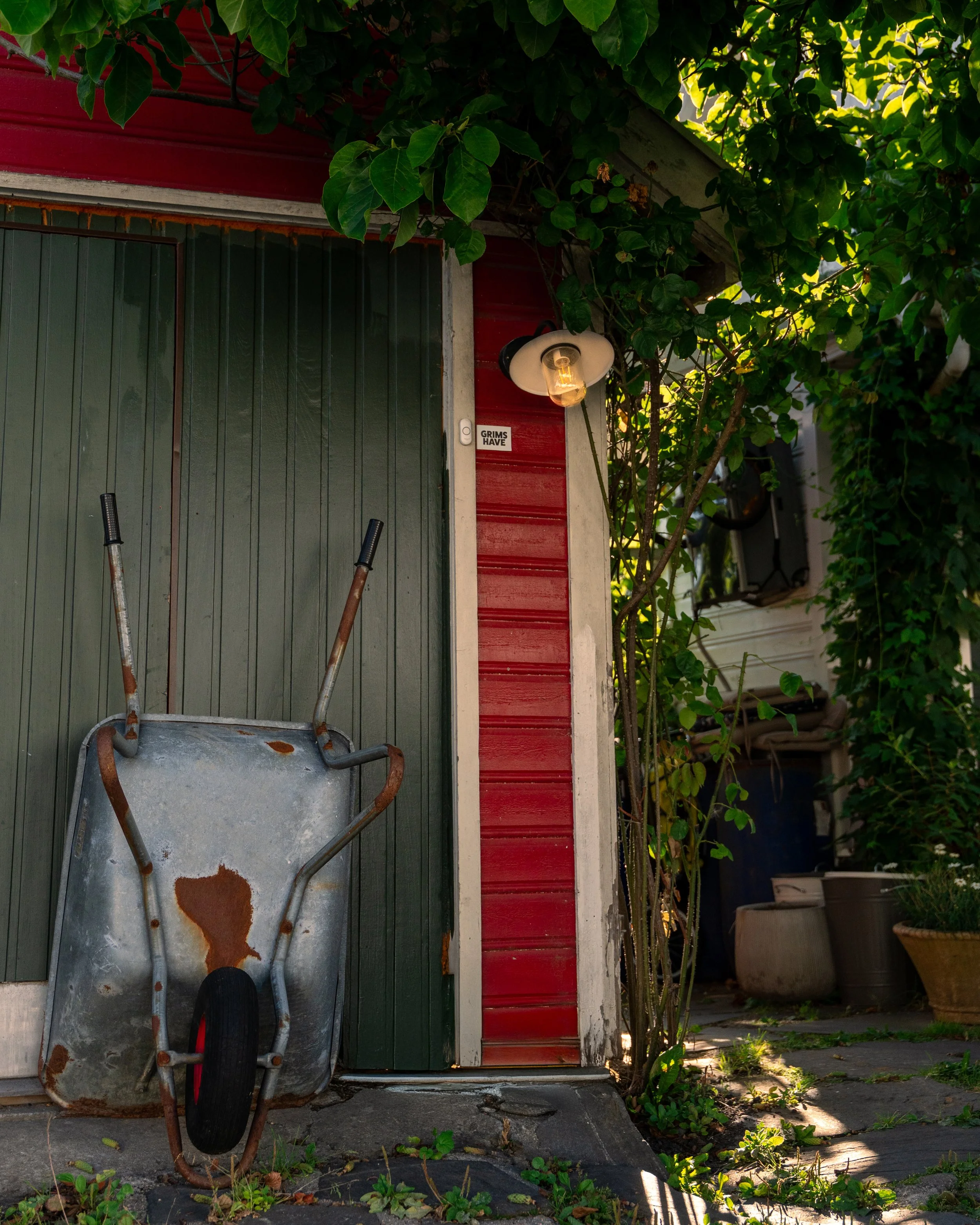 Erlend Haaland-DSC0106512.jpg