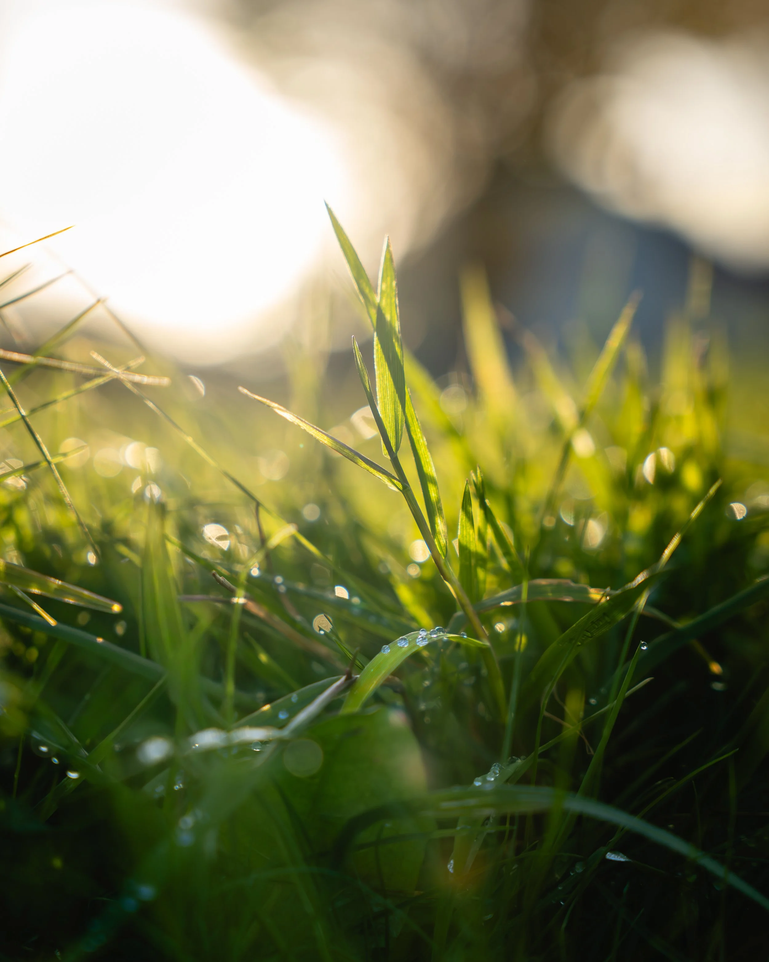 Erlend Haaland-DSC012691-2.jpg