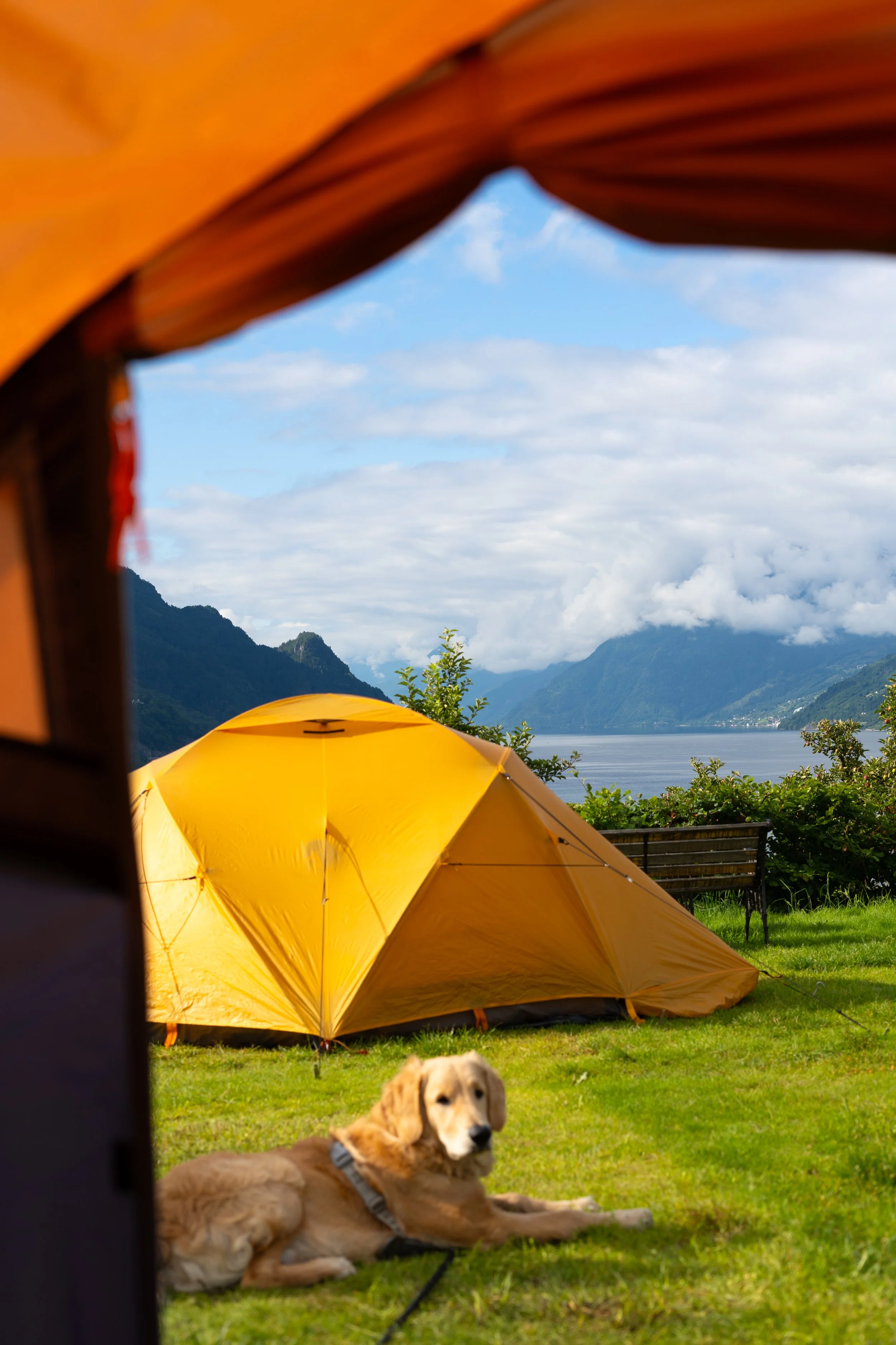 DSC02925-1-2 - FULL FRAME.jpg