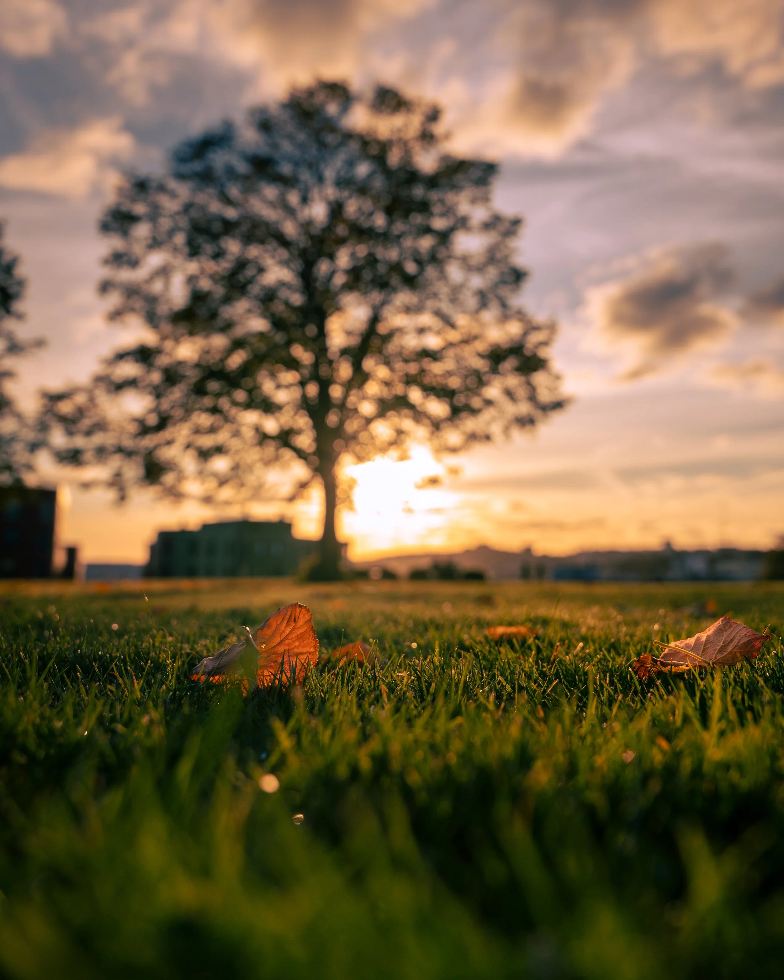 Erlend Haaland-DSC013051.jpg