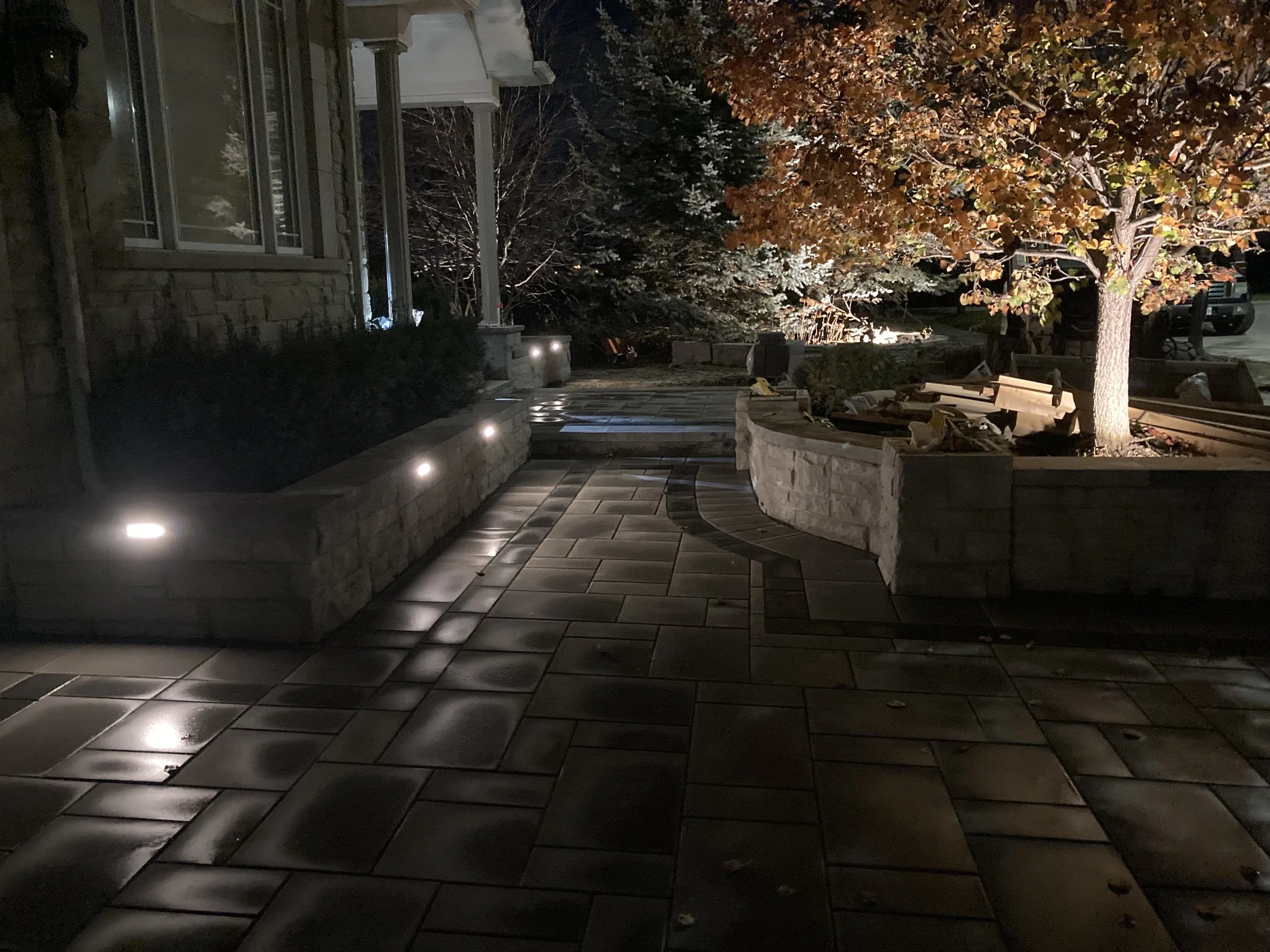 Night view of a landscaped stone patio with built-in lighting, featuring a tree in a raised planter and shrubs alongside the house.