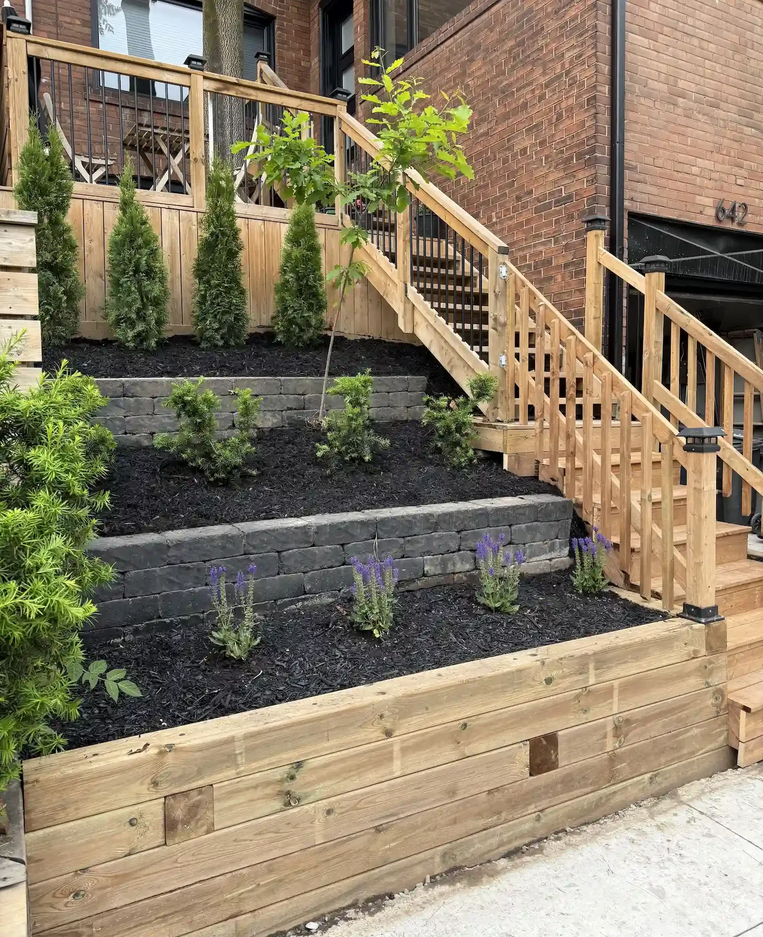 A multi-level landscaped garden with wooden stairs, black mulch, small green shrubs, edges made of bricks, and a new wooden fence on a brick building background.