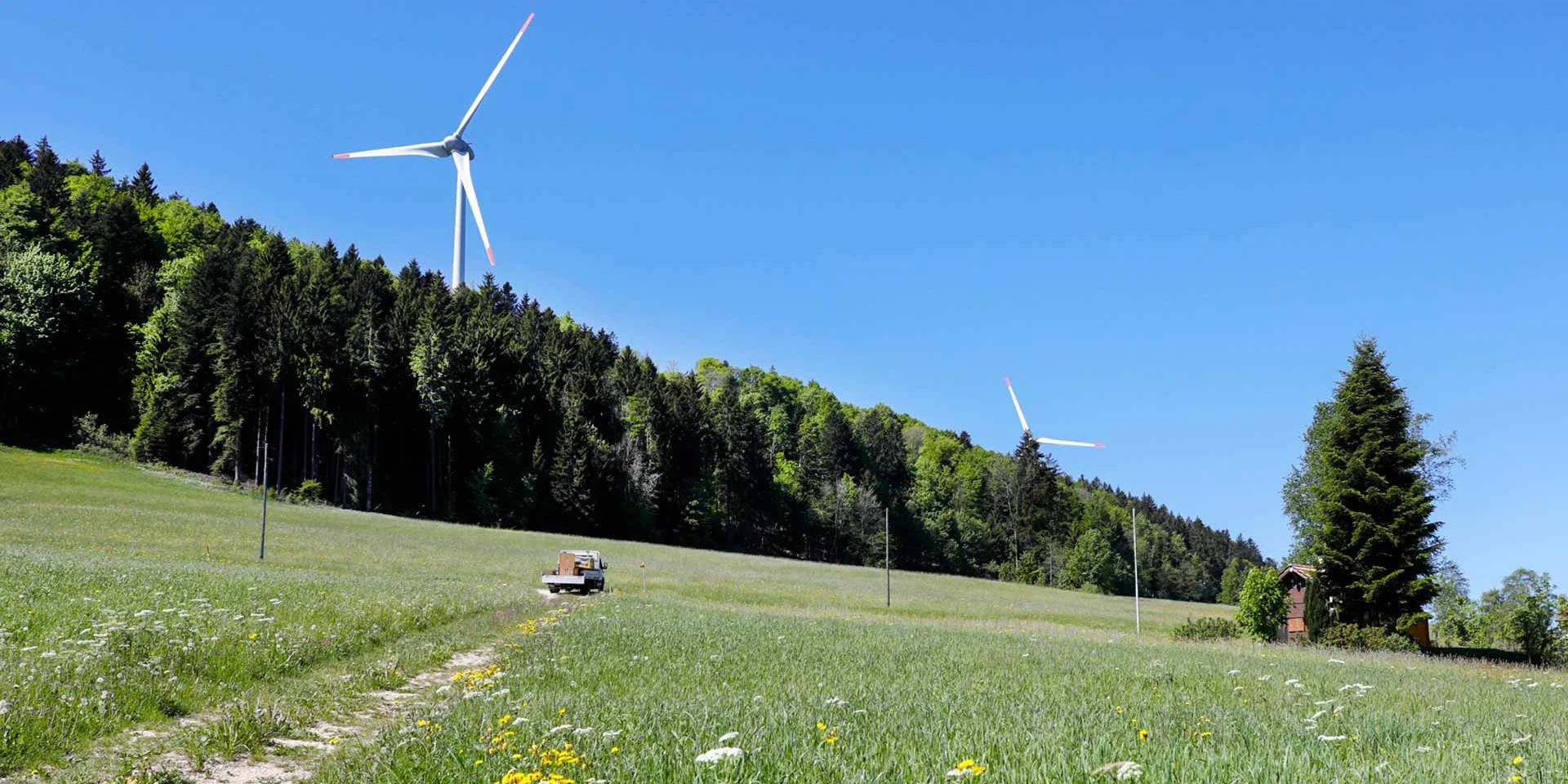 Climat et biodiversité: deux défis à relever ensemble