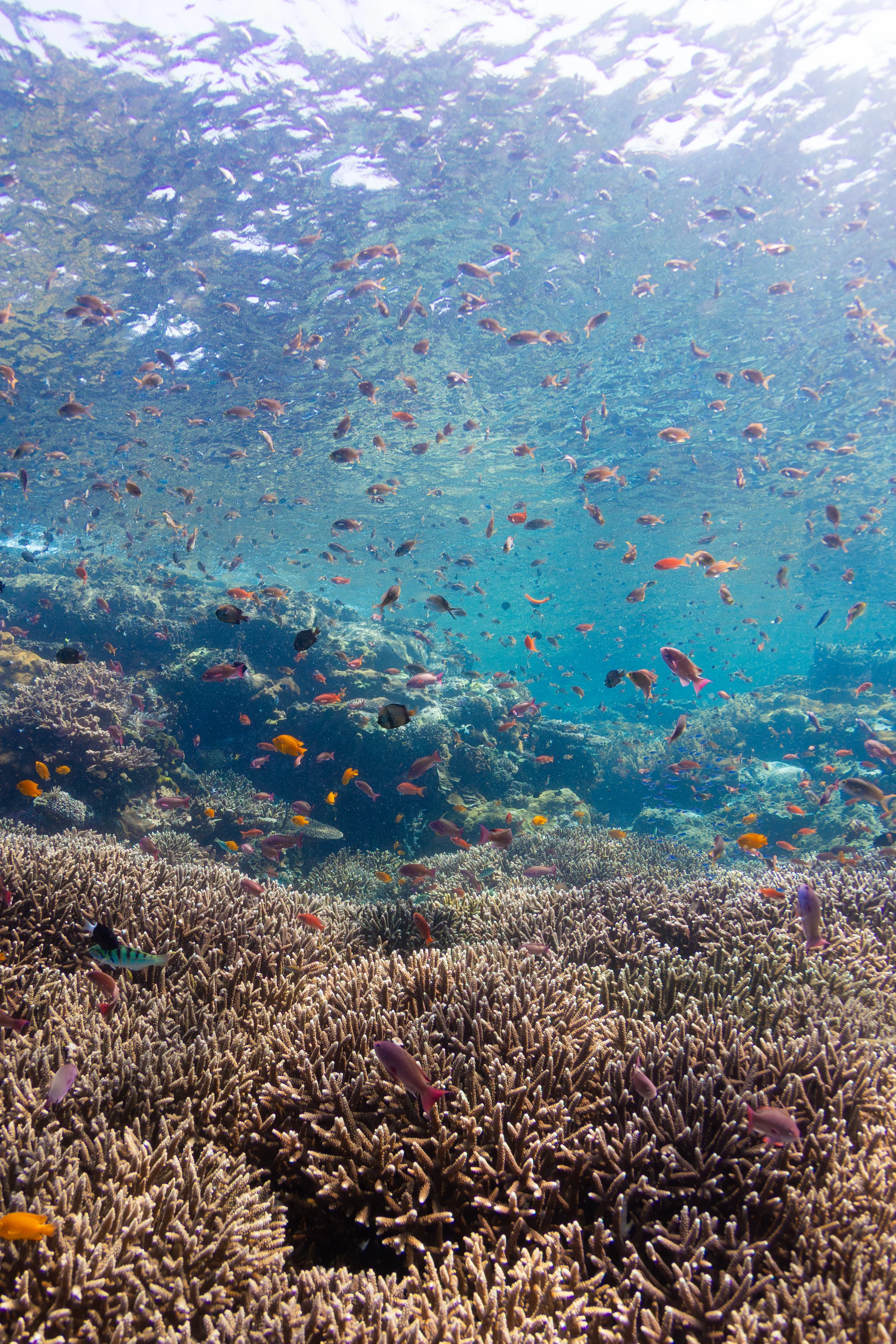 IMG_6998-Enhanced-NR 2.JPG