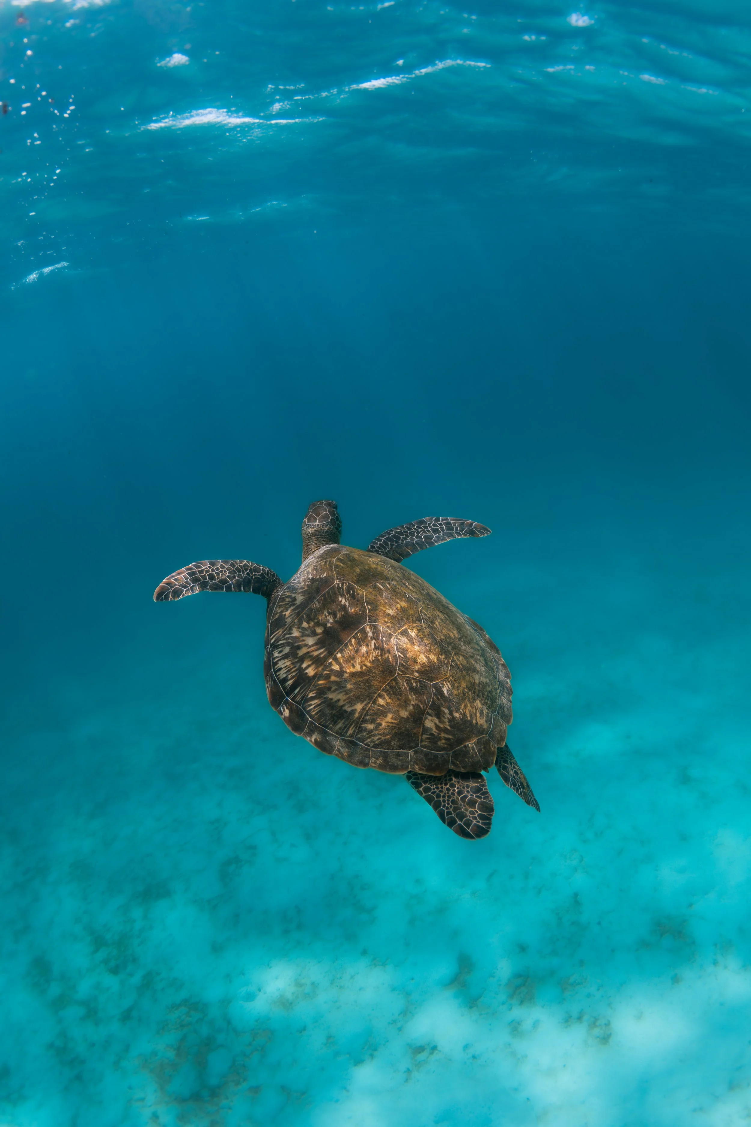 IMG_6338-Enhanced-NR 2.JPG