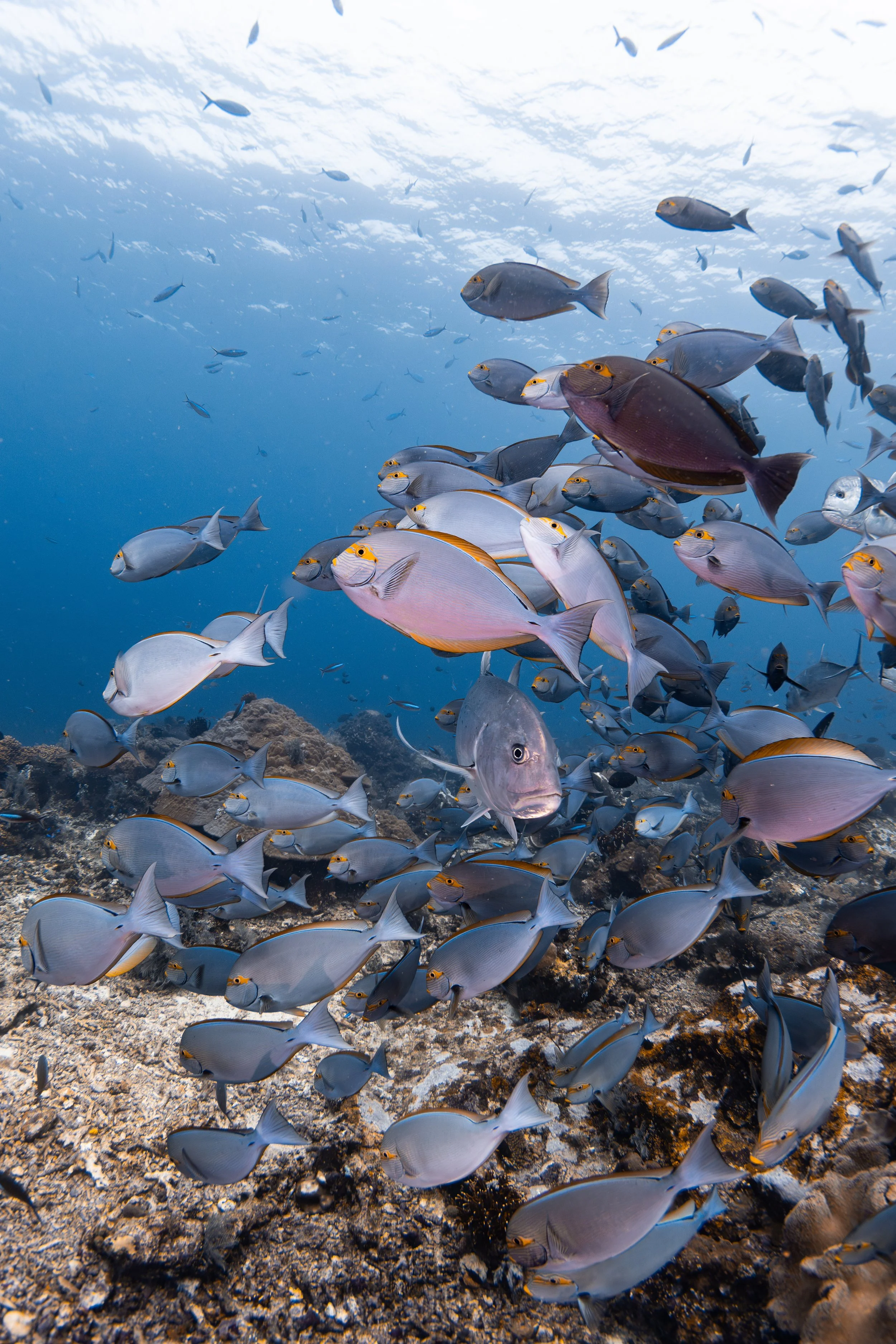 IMG_7295-Enhanced-NR-2 3.jpeg