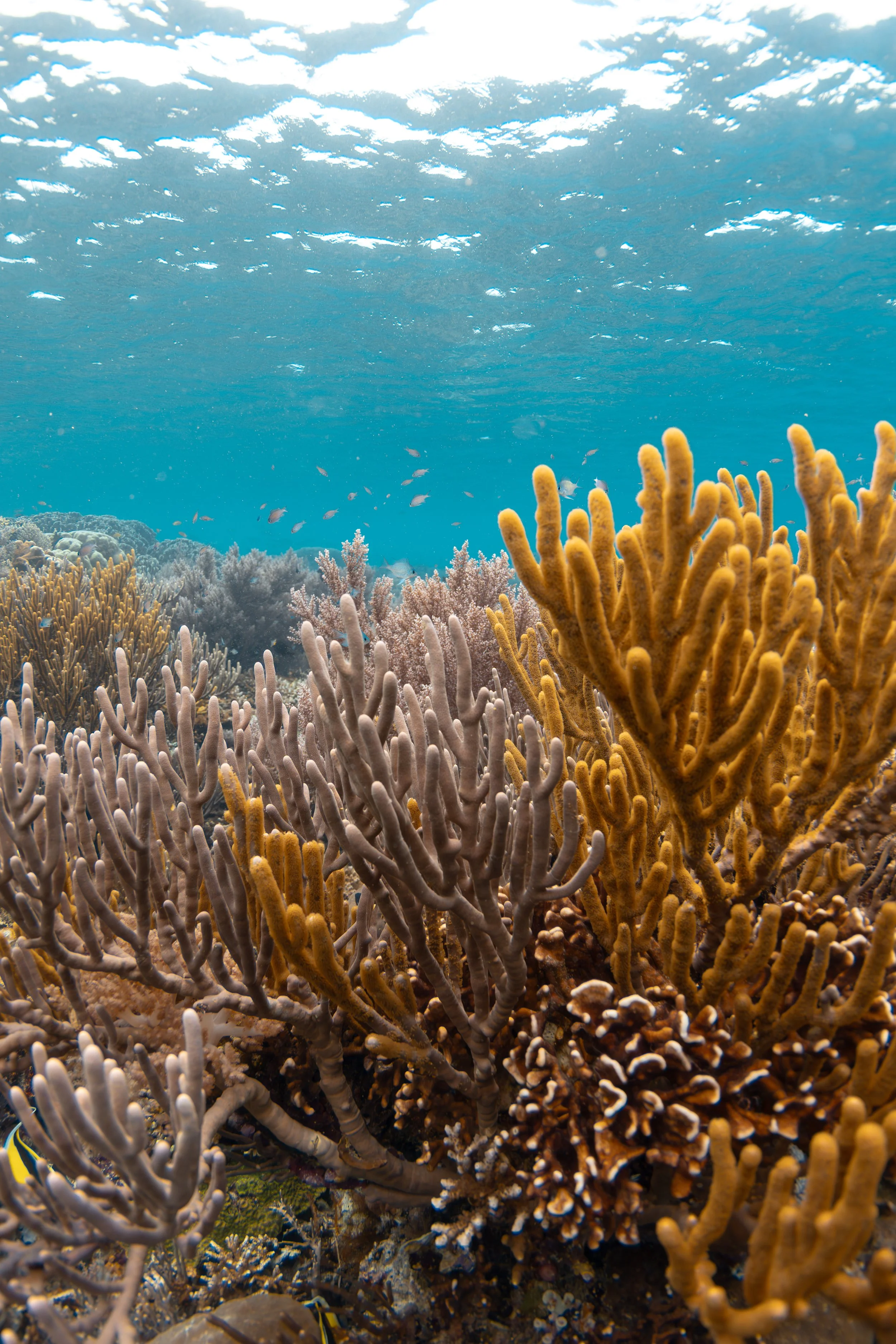 IMG_7843-Enhanced-NR 2.JPG