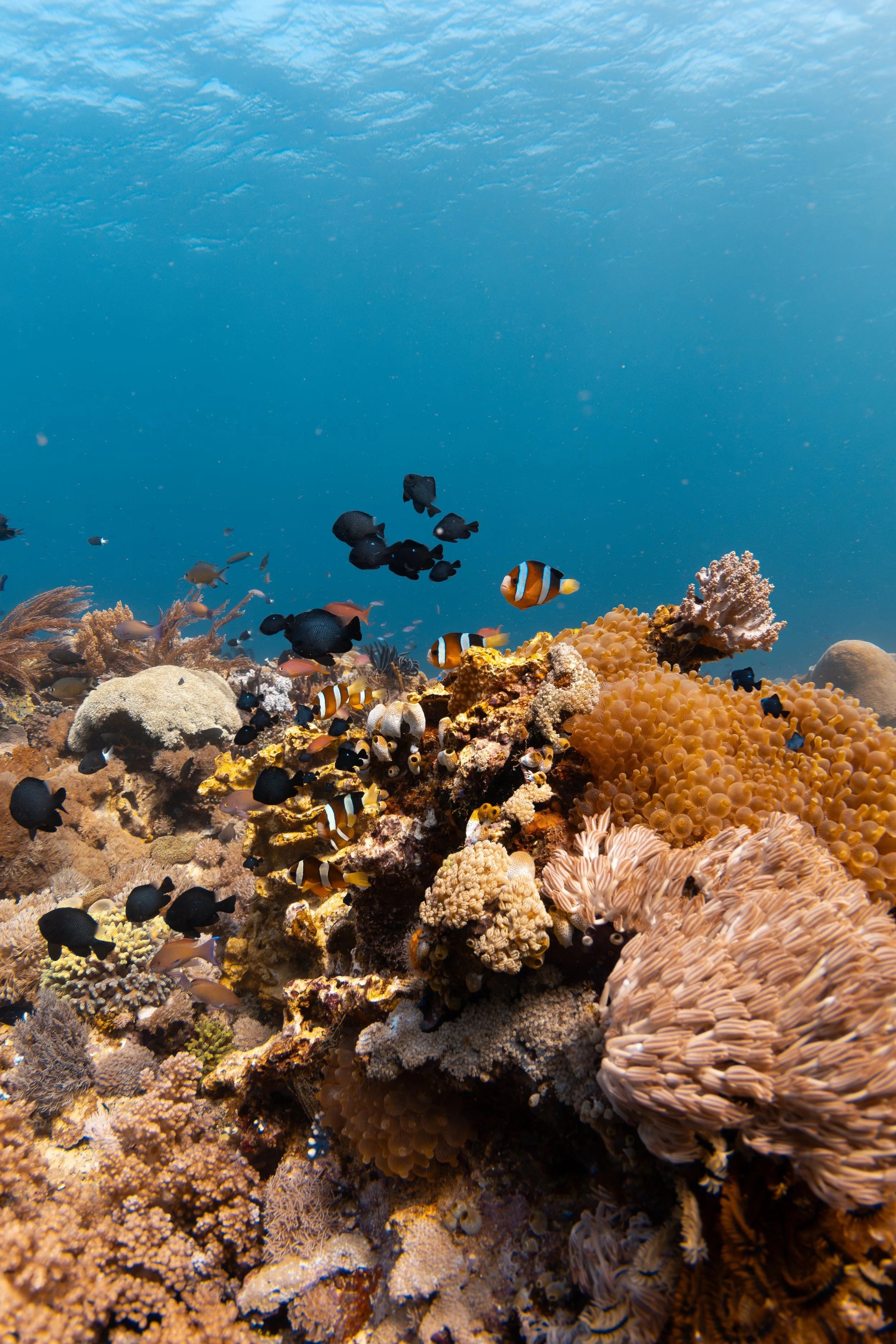 IMG_6250-Enhanced-NR 2.JPG