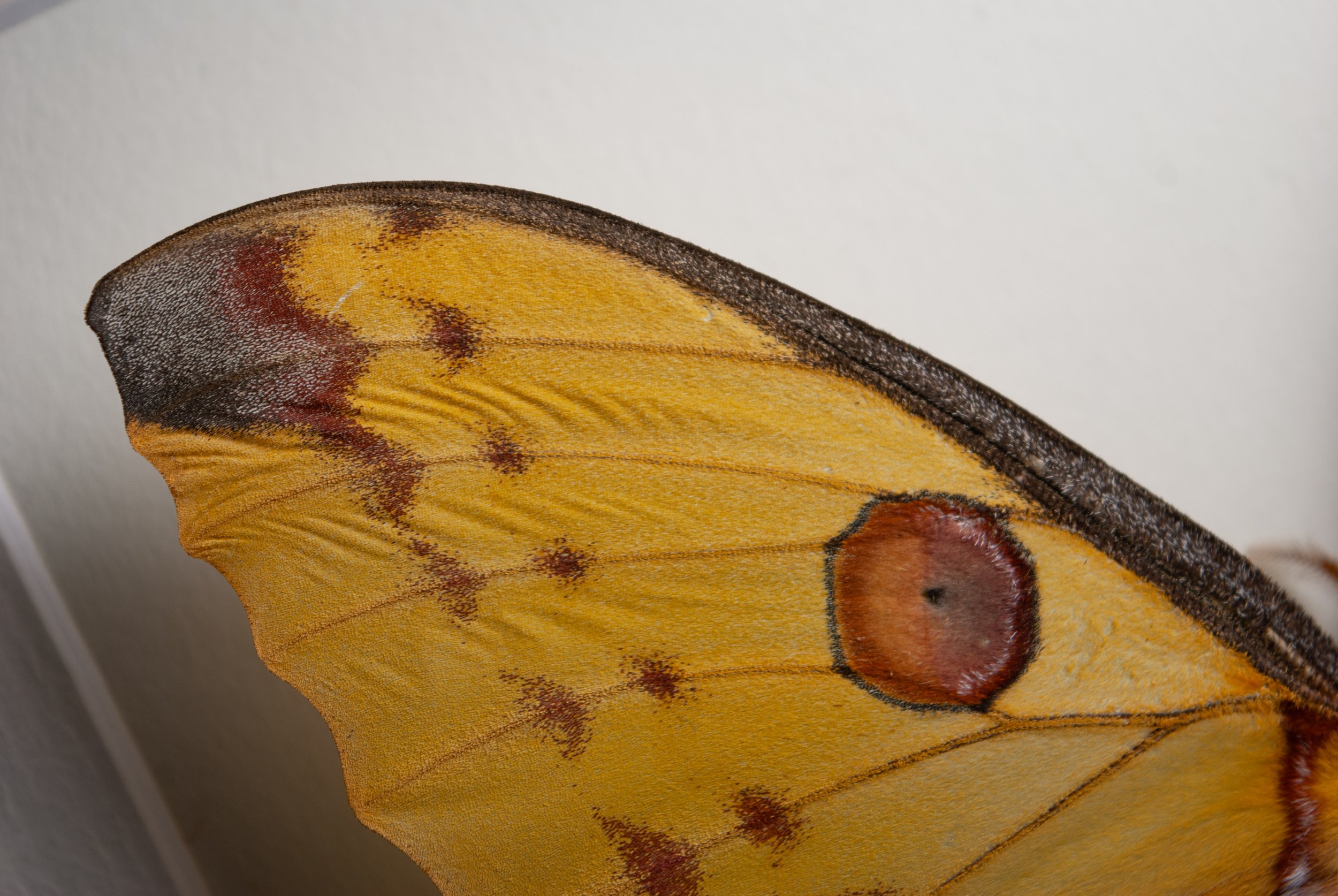 DSC_0289.jpg