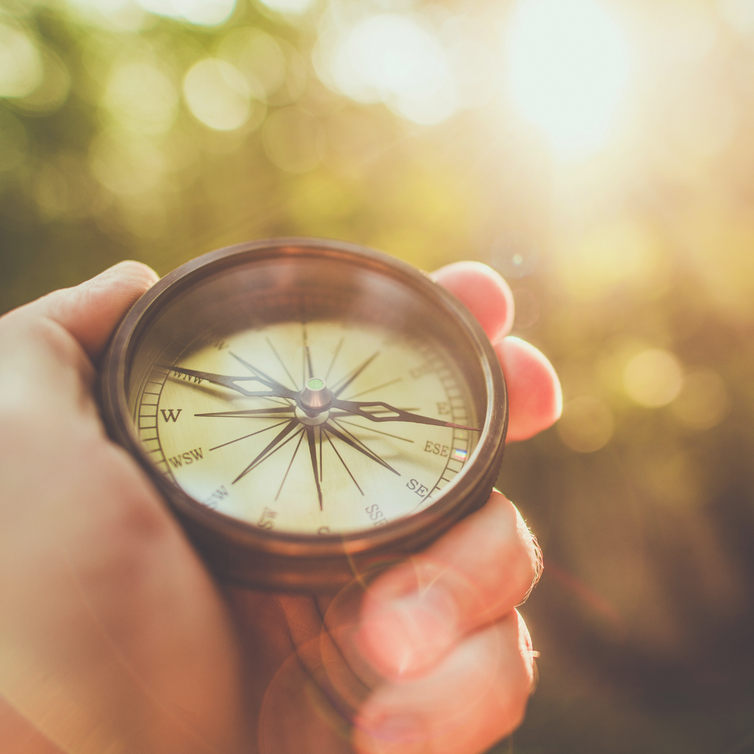 Hand holding a compass with blurred sunlight and greenery in the background.