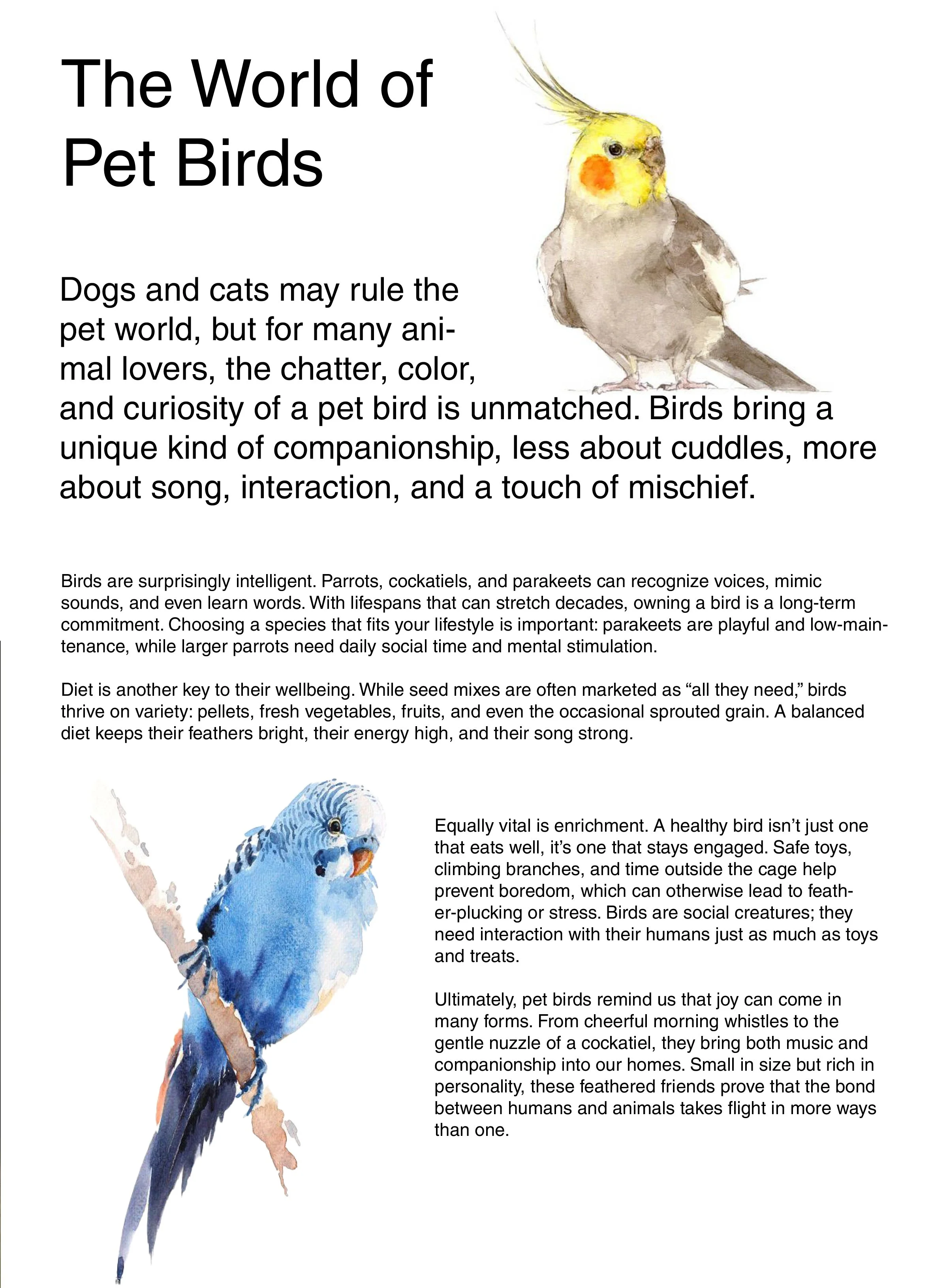 An illustrated article page titled "The World of Pet Birds" features a watercolor-style image of a yellow cockatiel with orange cheeks and grey body and a larger blue and white parakeet below, accompanying text about pet bird companionship.