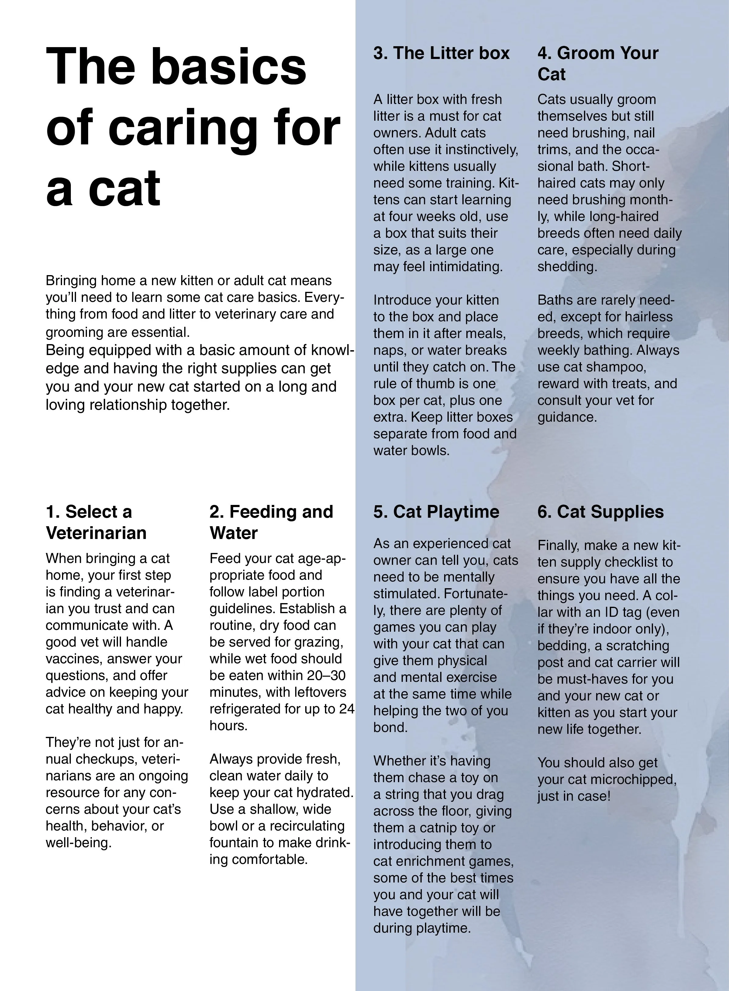 Page titled 'The basics of caring for a cat' with sections on selecting a veterinarian, feeding and water, the litter box, grooming, playtime, and supplies, with step-by-step instructions and tips for new cat owners.