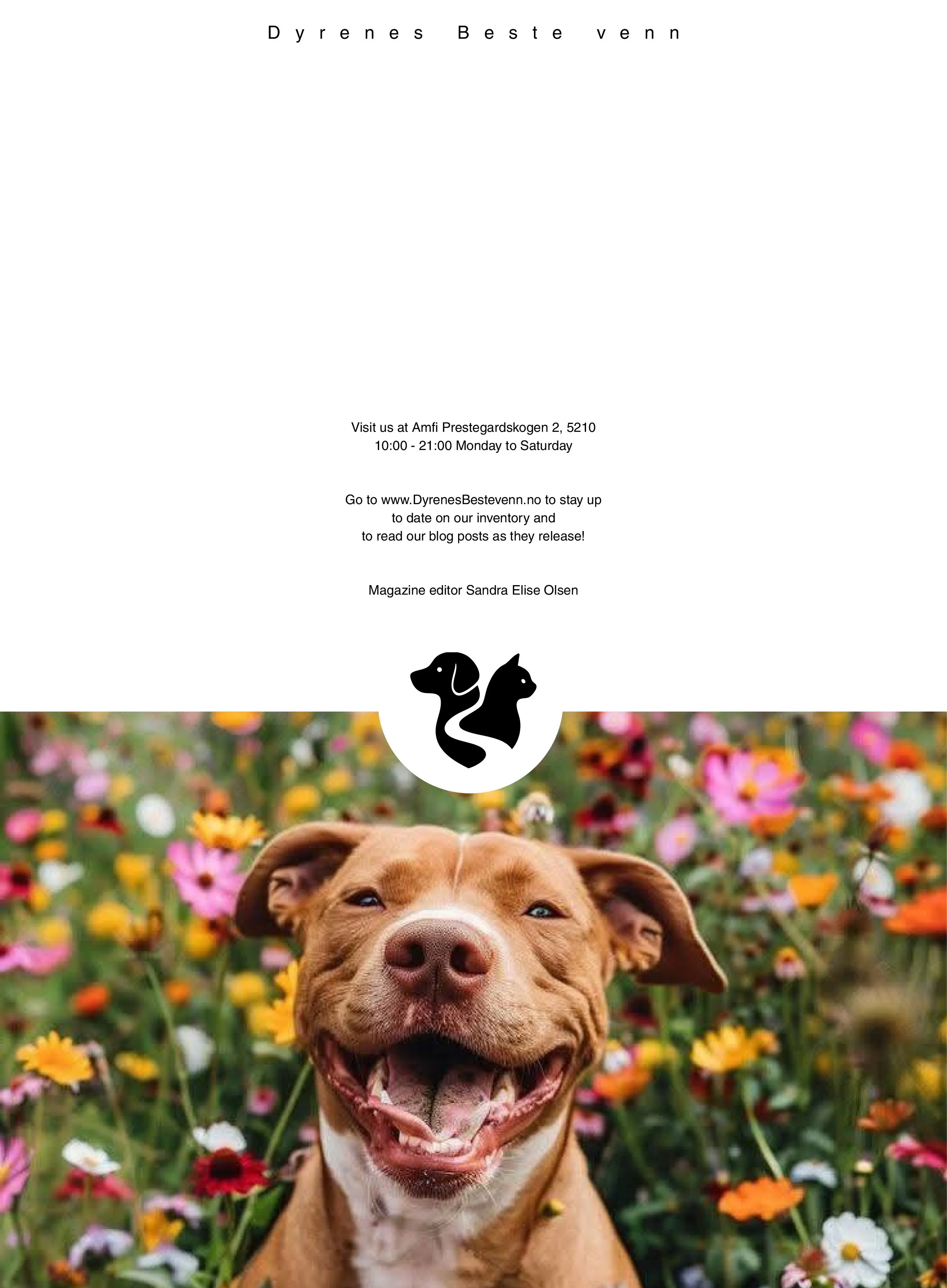 A joyful brown dog with a white chest, wearing a pink collar, sitting amidst a vibrant field of multicolored flowers. The dog has a big smile, showing its teeth, and appears to be very happy.