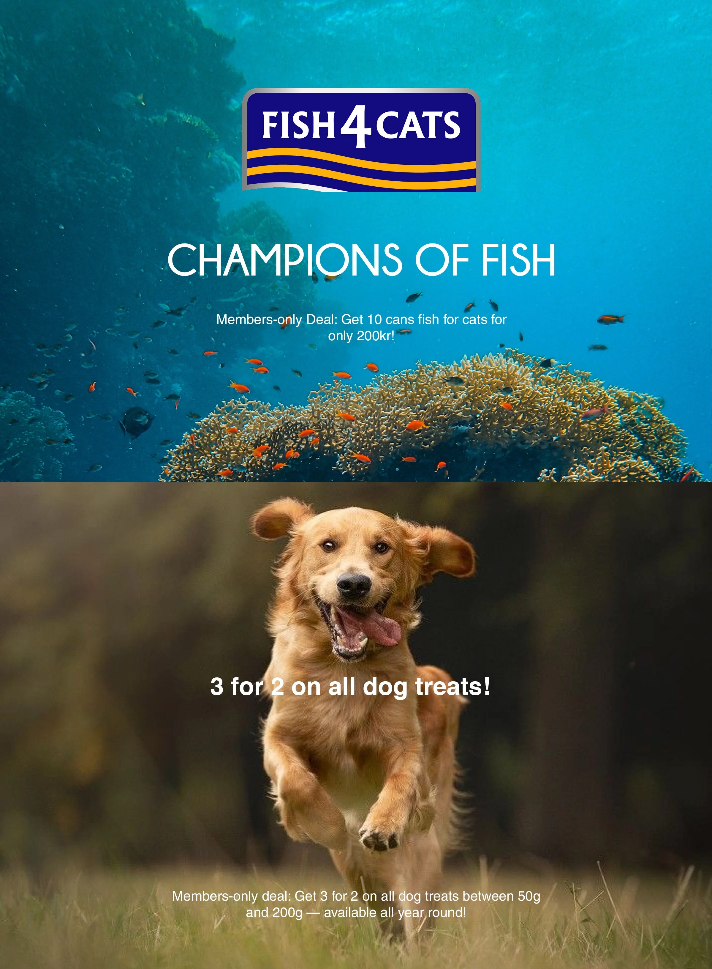 A jumping dog running through a grassy field with a background of trees and a blurred forest, promoting a special deal on dog treats.