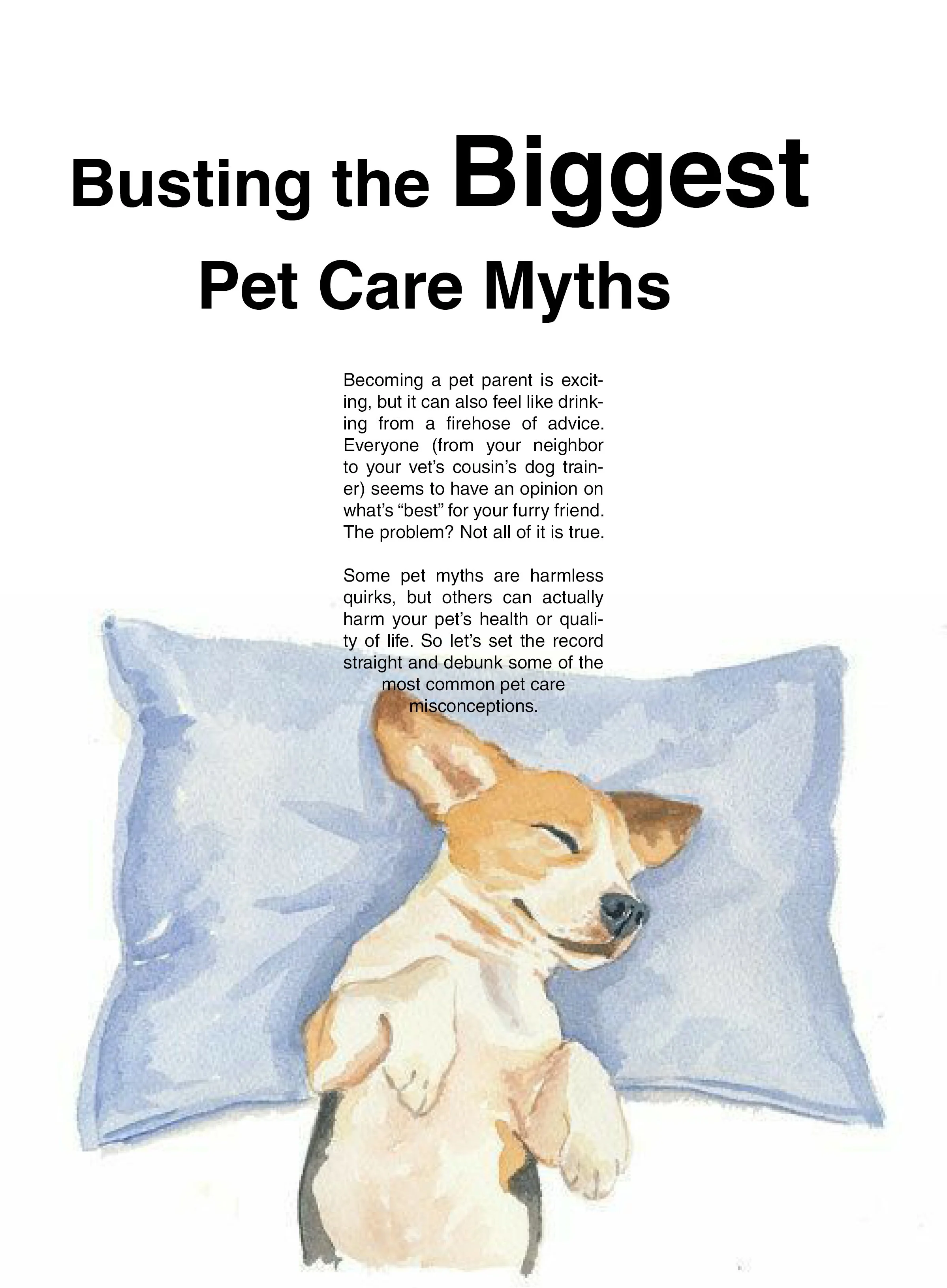 Watercolor painting of a sleeping dog curled up with its head resting on its front paws, under a light blue blanket.