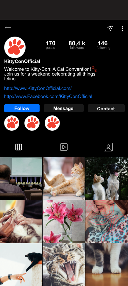 Instagram profile page of KittyConOfficial with 170 posts, 80.4k followers, and 146 following, featuring a paw print logo, and a grid of various images including cats and promotional content.