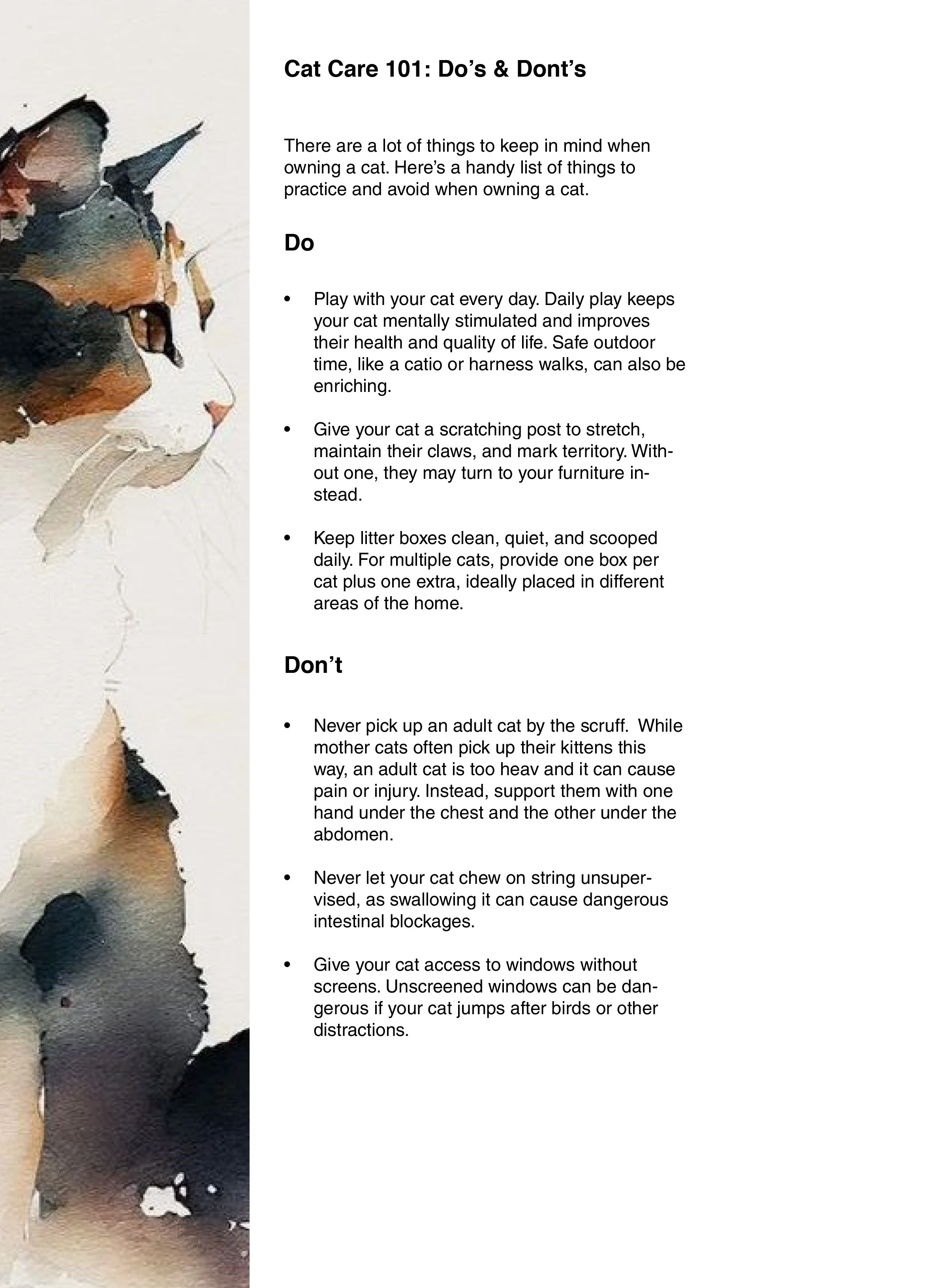 Part of a printed document titled 'Cat Care 101: Do's & Don'ts' with a colorful illustration of a cat's face on the left side.