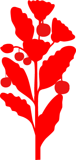 A red silhouette of a holly branch with leaves and berries.