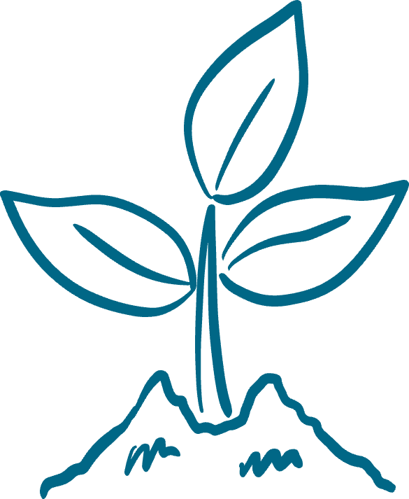 The Power of New Beginnings