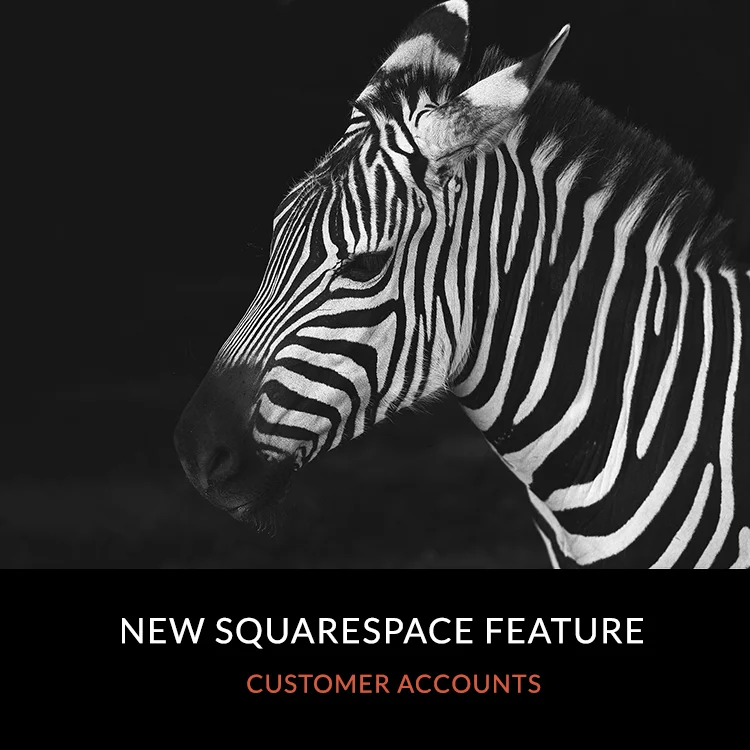 New Squarespace Feature - Customer Accounts