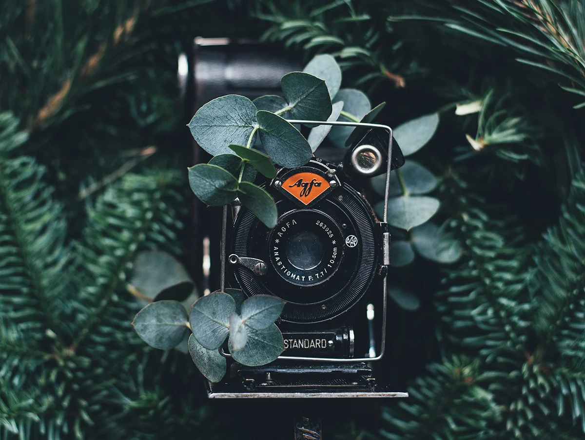 Squarespace for photographers