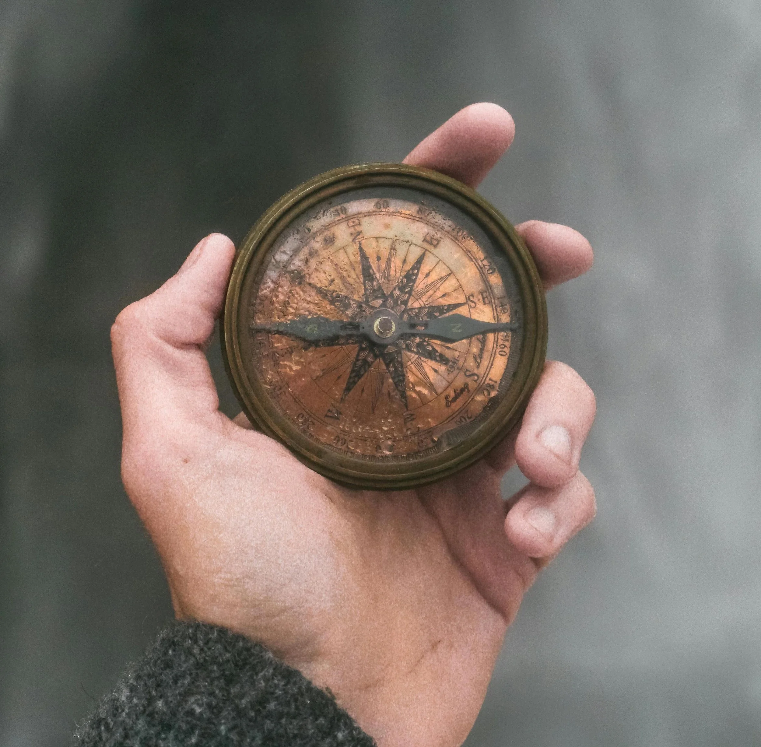 Owls, a fried egg, and a compass: three goal setting methods for writers