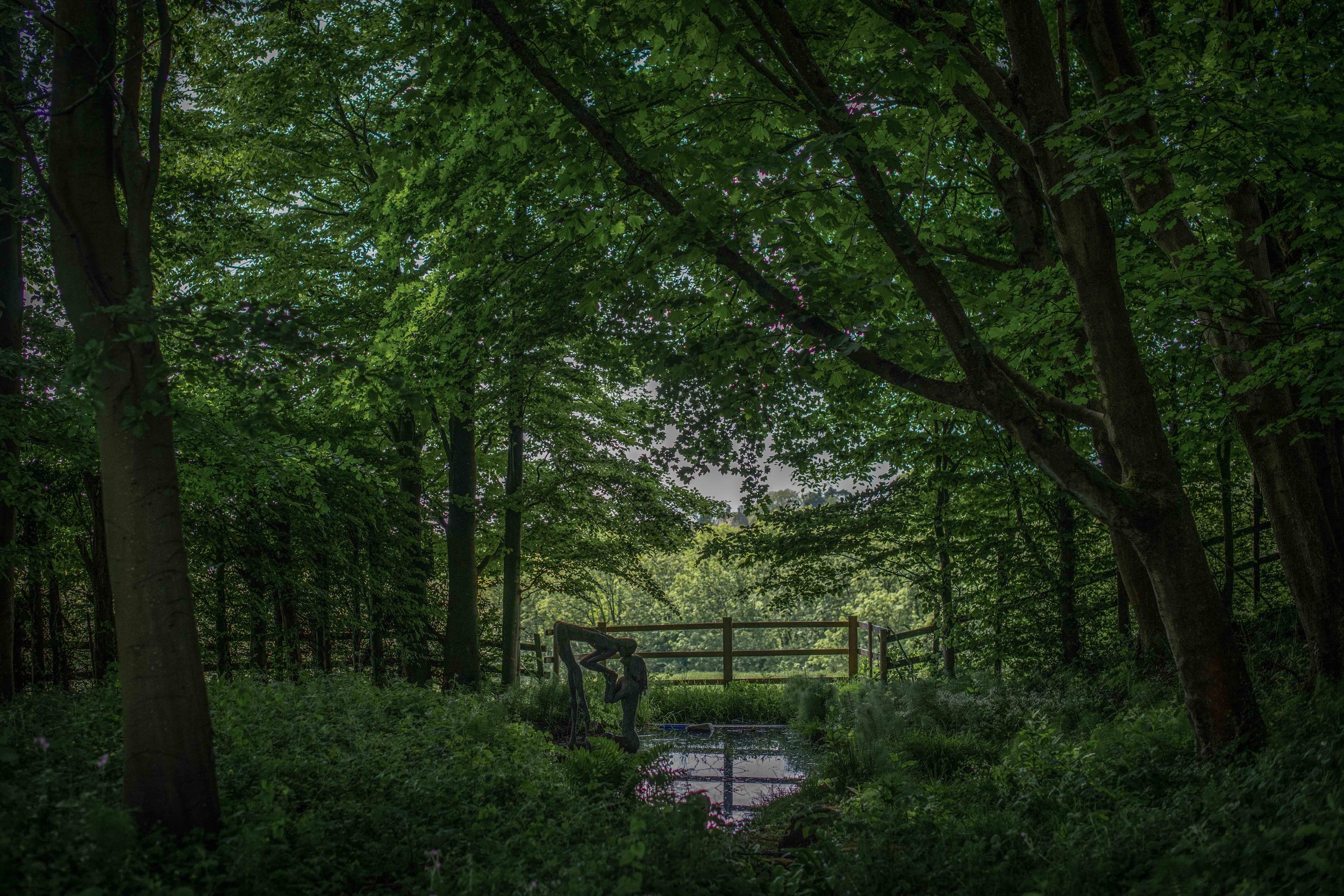 DSC_7151.jpeg