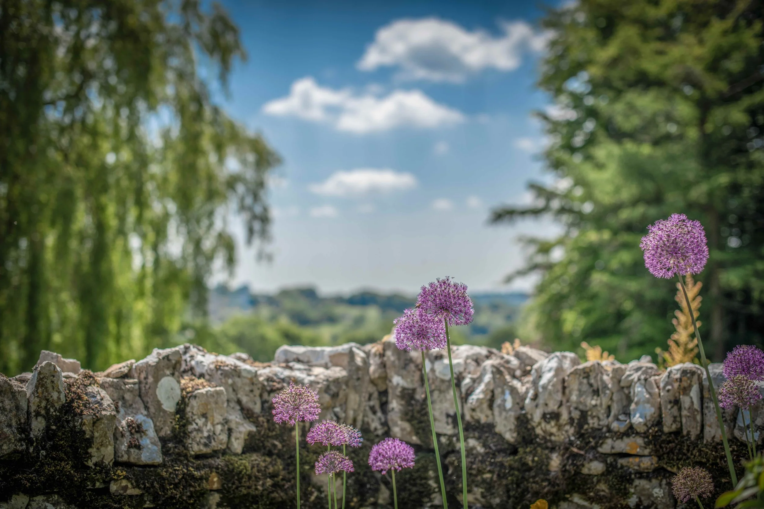 DSC_7171.jpeg