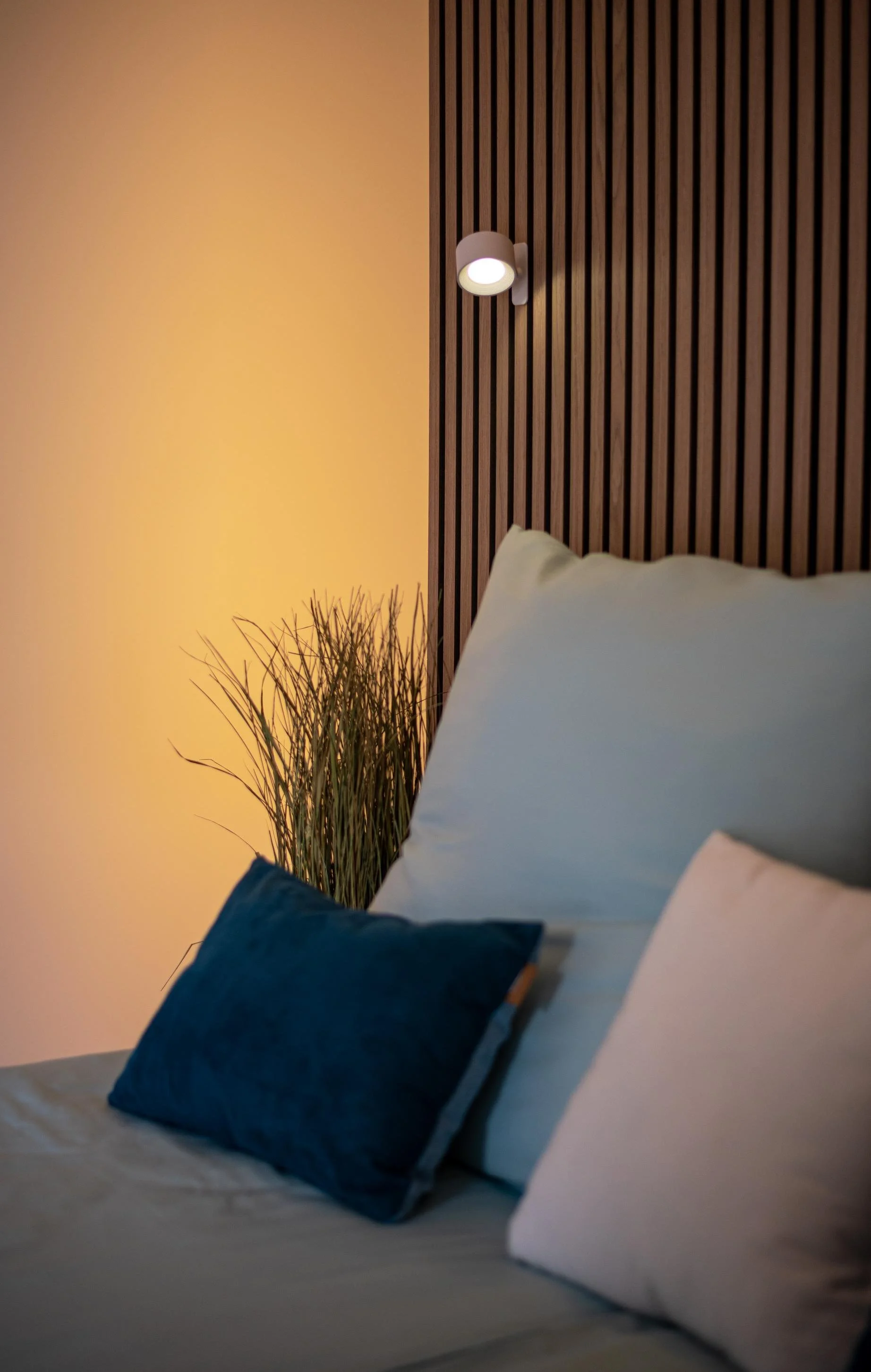 Un lit avec des coussins blancs et bleus dans une chambre moderne, avec un mur en bois derrière et une plante verte à côté.