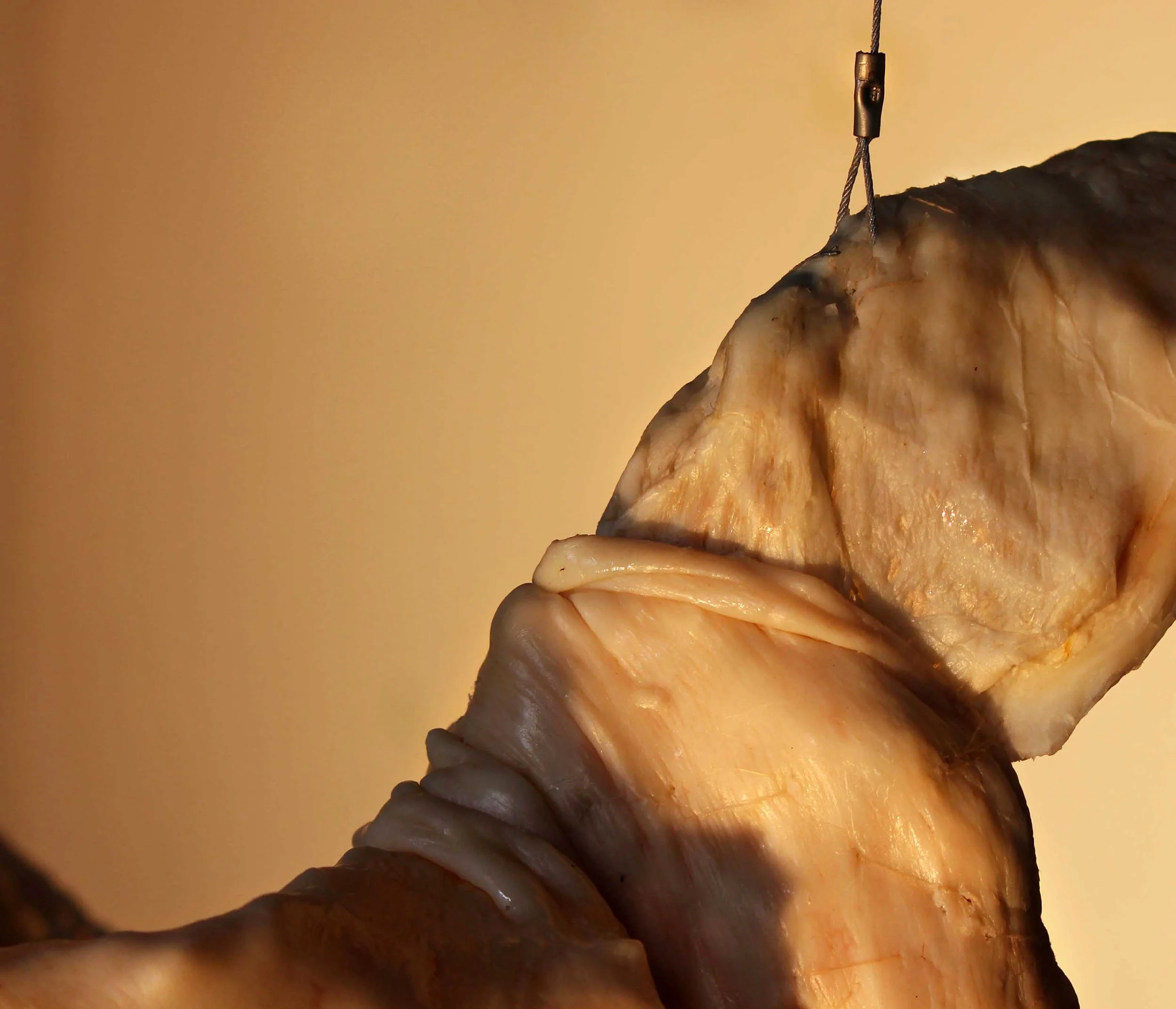 SIKHO SIYOTULA-SIEGEMUND: Remainder 004, 2011. Caul fat, thread, rope and wire, c. 130 x 150 x 120 x 60 cm. DETAIL.