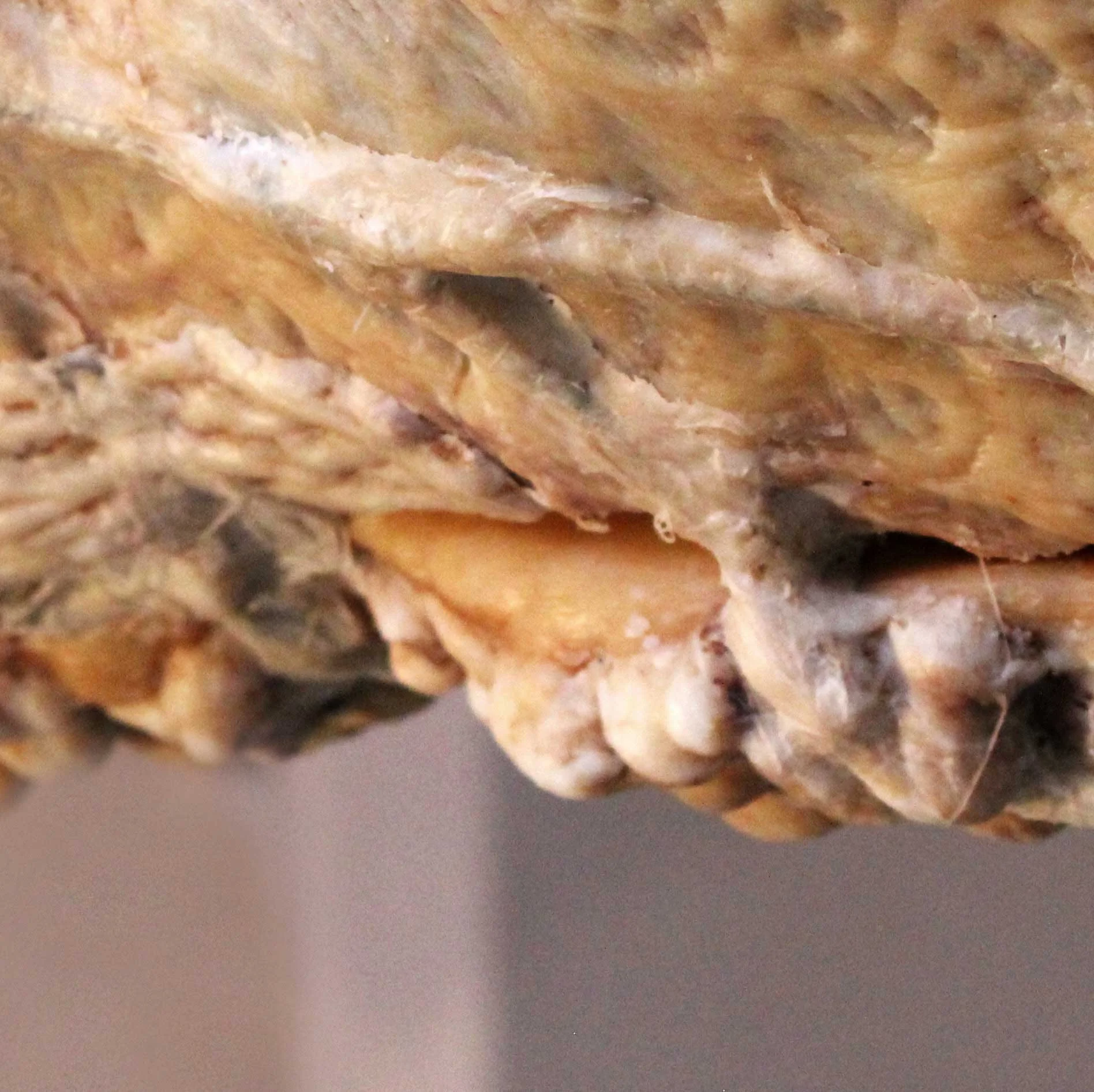 SIKHO SIYOTULA-SIEGEMUND: Remainder y, 2011. Caul fat, thread, rope and wire, c. 210 x 120 x 120 cm. DETAIL.