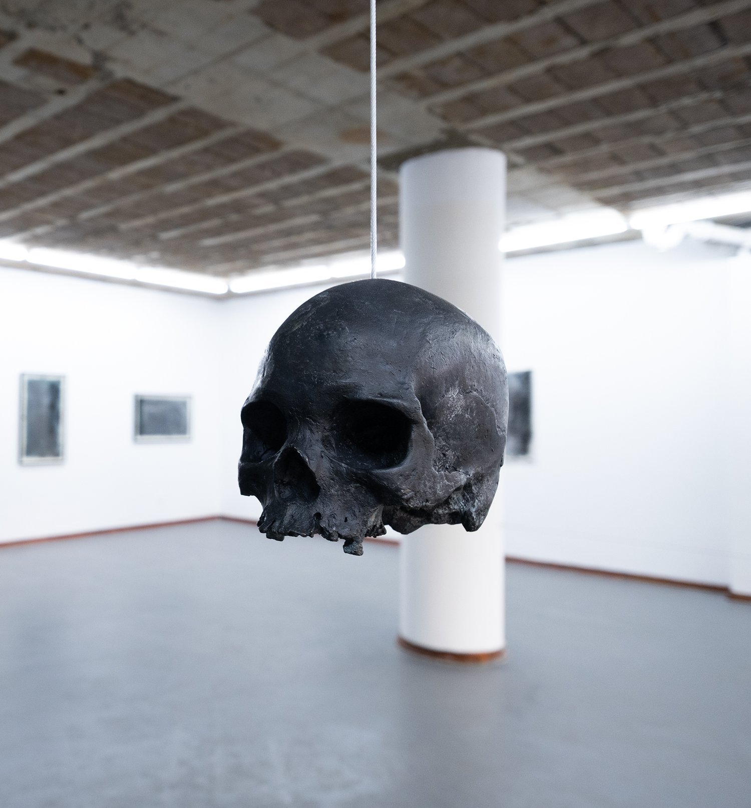 Between Chicken and Dust