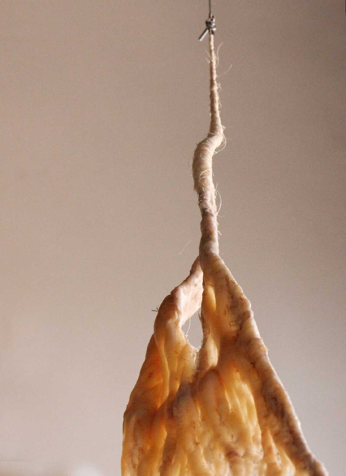 SIKHO SIYOTULA-SIEGEMUND: Remainder y, 2011. Caul fat, thread, rope and wire, c. 210 x 120 x 120 cm. DETAIL.
