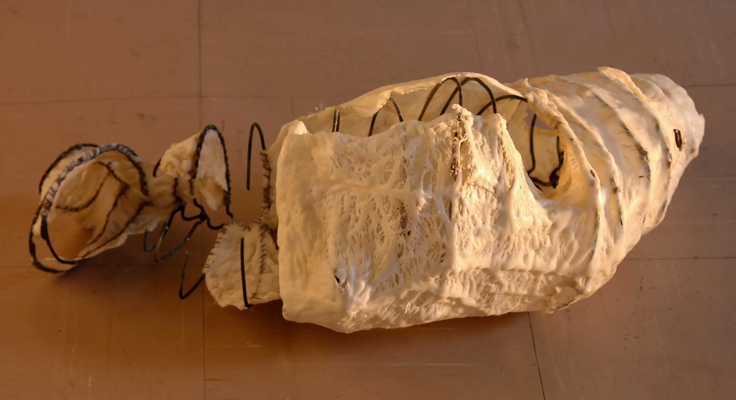 SIKHO SIYOTULA-SIEGEMUND: Remainder 001. 2011. Caul fat, thread, rope and wire, c. 25 x 60 x 27 cm.