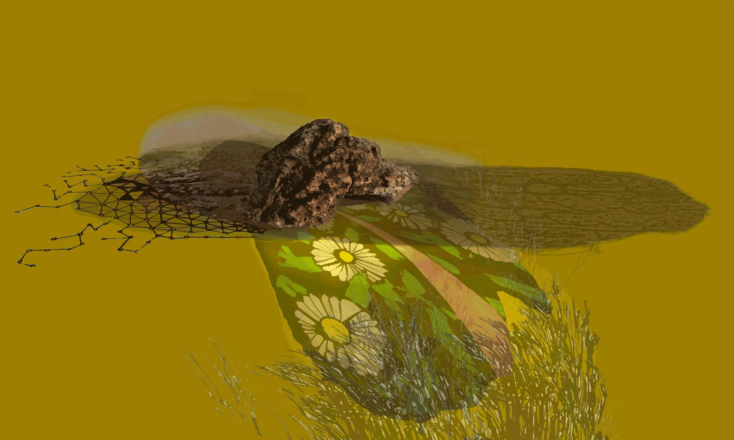 SIKHO SIYOTULA-SIEGEMUND: Maru's House, 2018, Felix Schoeller True Fibre Matte Fine art paper, DiaMount with Matt Plexiglass Finish, 
 (10 prints and 3 Artist Proofs),
60 x 100cm.
