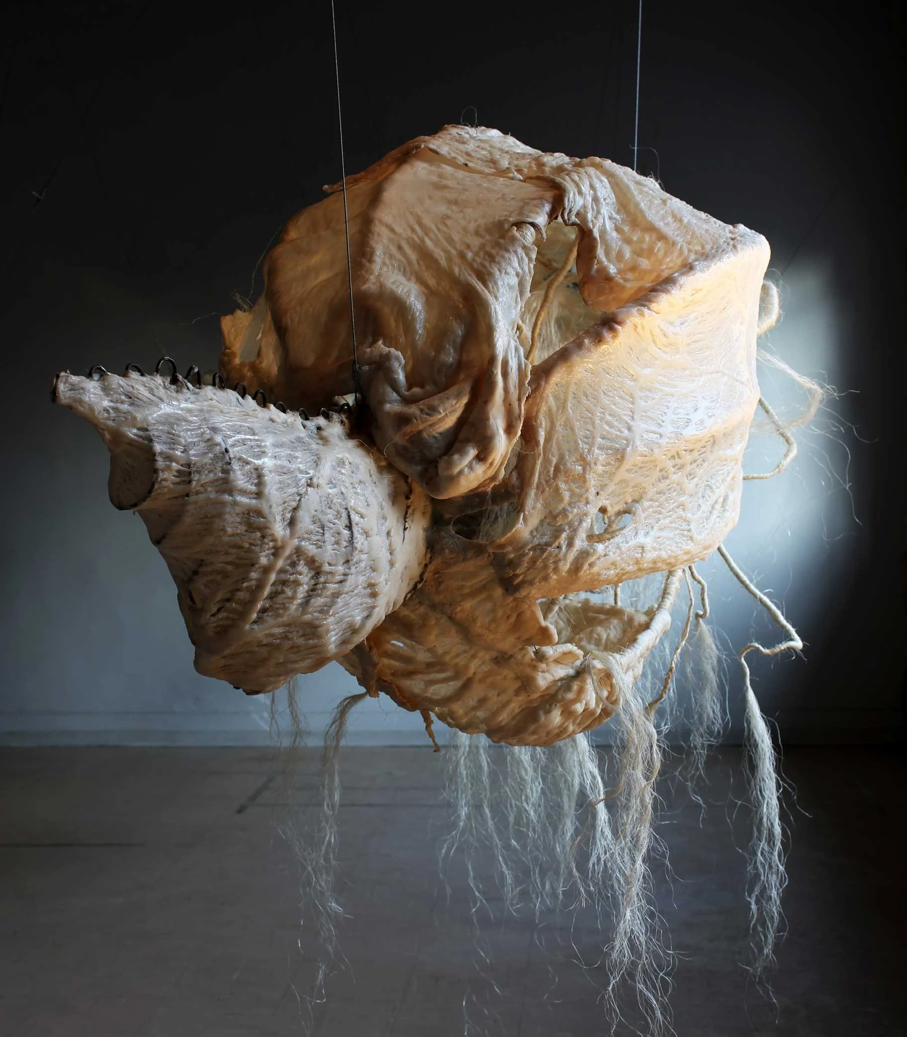 SIKHO SIYOTULA-SIEGEMUND: Remainder 002, 2011. Caul fat, thread, rope and wire, c. 60 x 120 x 60 cm.