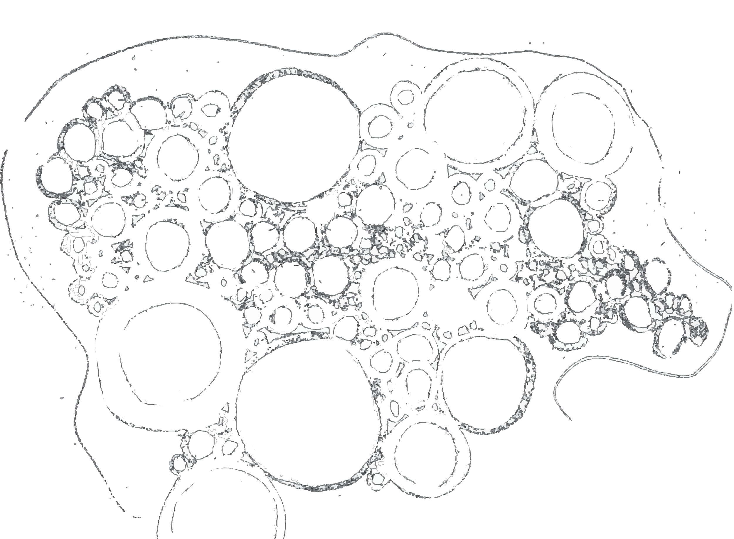 Minor Cosmos Doodle 2, 2017,
Digital Drawing.