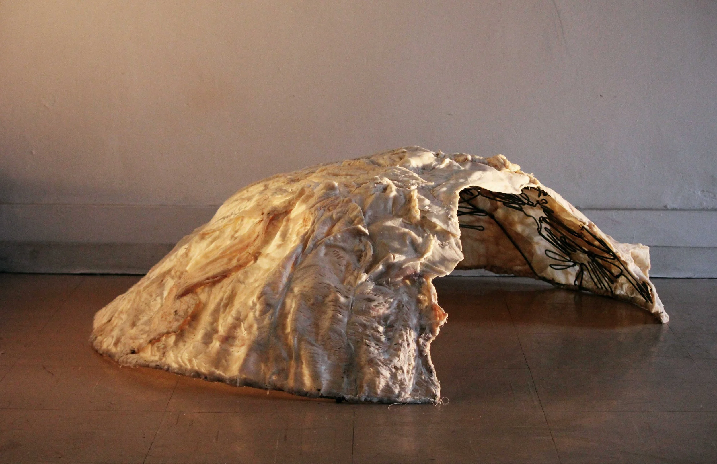 SIKHO SIYOTULA-SIEGEMUND: Remainder 003, 2011. Caul fat, thread, rope
and wire, c. 25 x 60 x 27 cm.